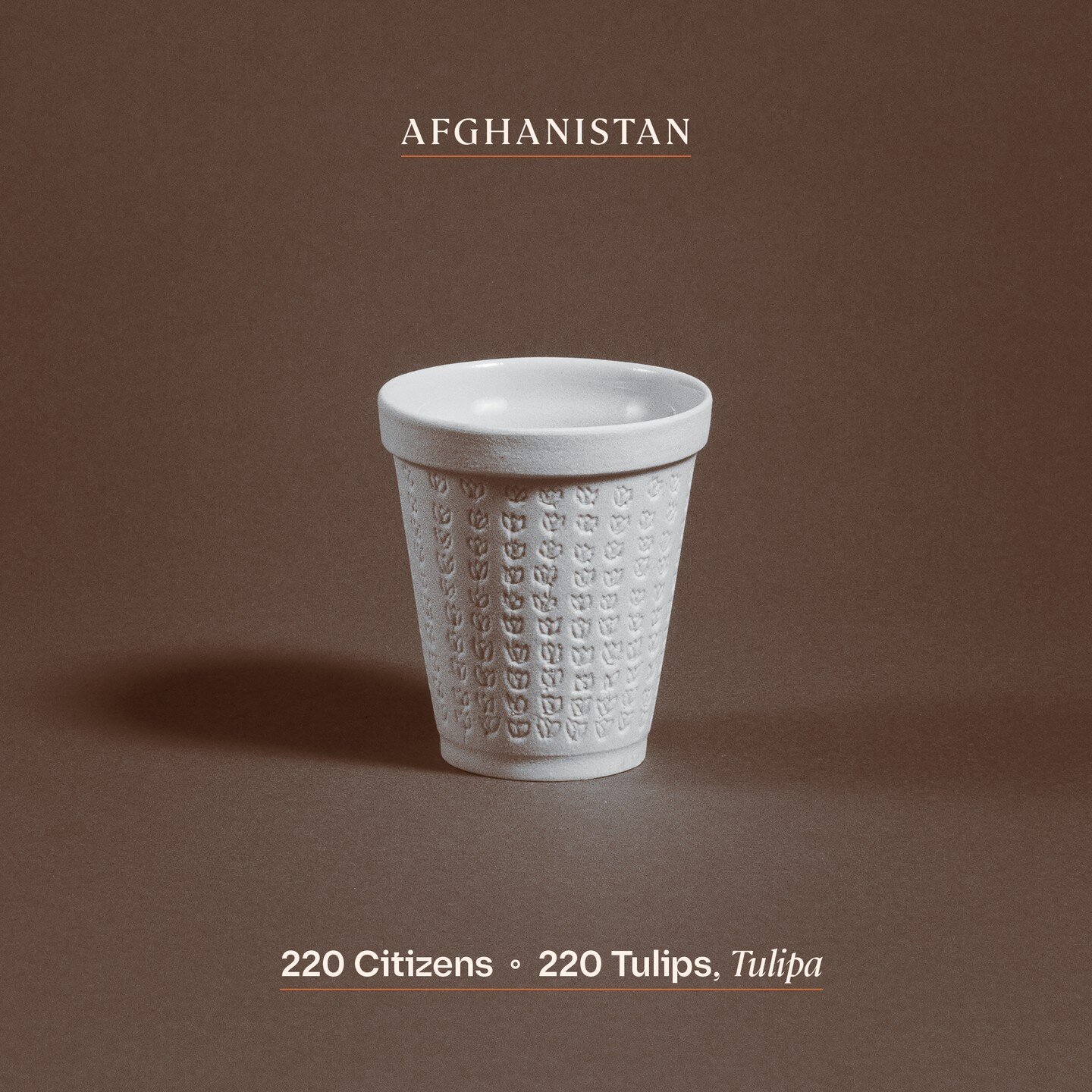 AFGHANISTAN

This week we imagine that one day Muhammad Rahim will have tea with his family upon his freedom from Guantanamo. This tea recipe is from &quot;Z&quot; who was a coordinator for the Afghan Peace Volunteers in Kabul. 

INGREDIENTS 
- Green
