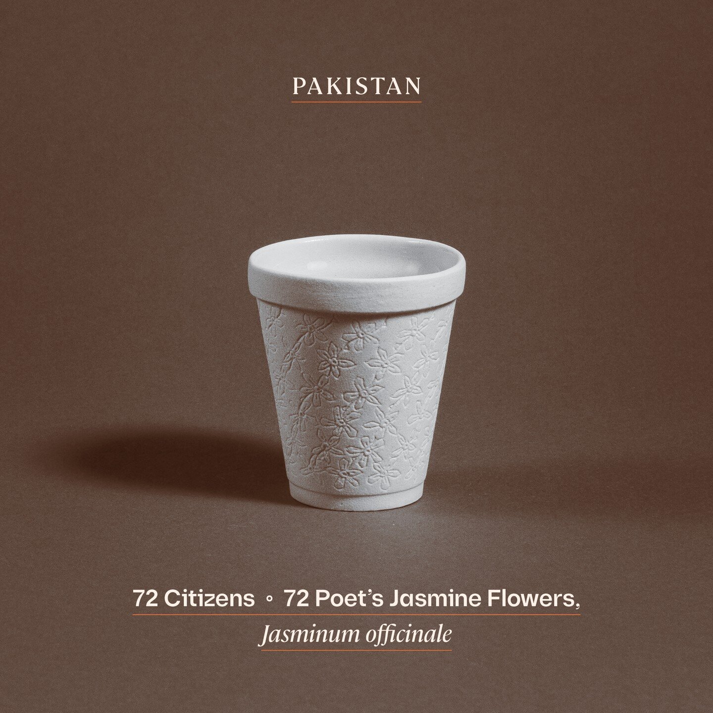 PAKISTAN

This week we prepare tea in reconnection of Khalid Shaikh Mohammed and Abd Al-Aziz Ali, who have been imprisoned at the extralegal military prison in Guantanamo for over 20 years.

INGREDIENTS 
- Cardamom pods 
- Tapal Danedar black tea lea