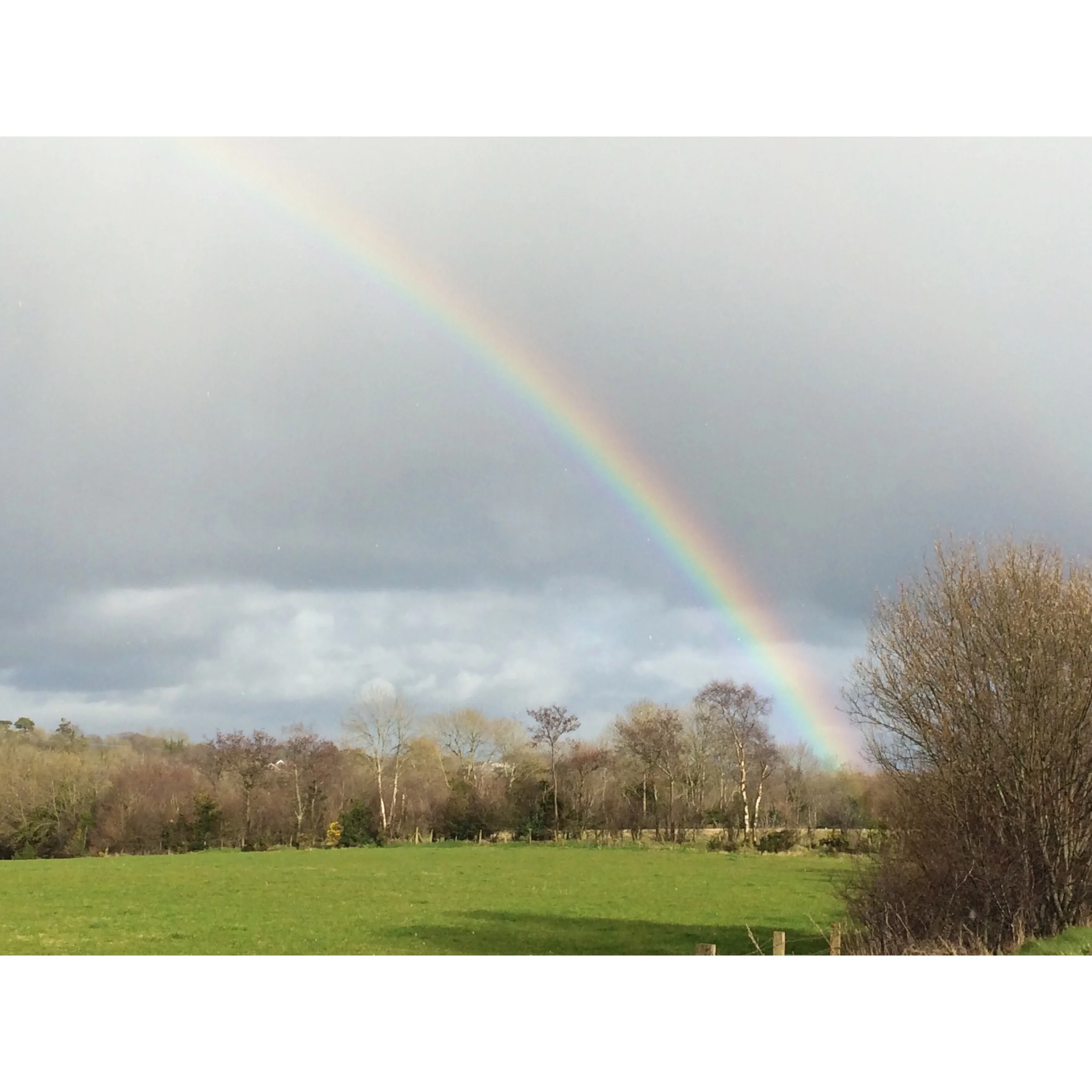 'HE WISHES FOR THE CLOTHS OF HEAVEN' a poem by William Butler Yeats