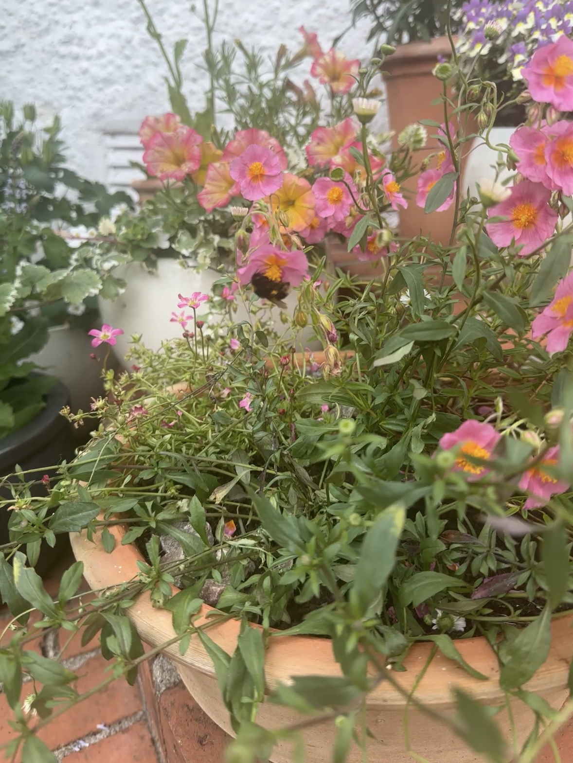 Katie Larmour Christmas Decorations9.PNG