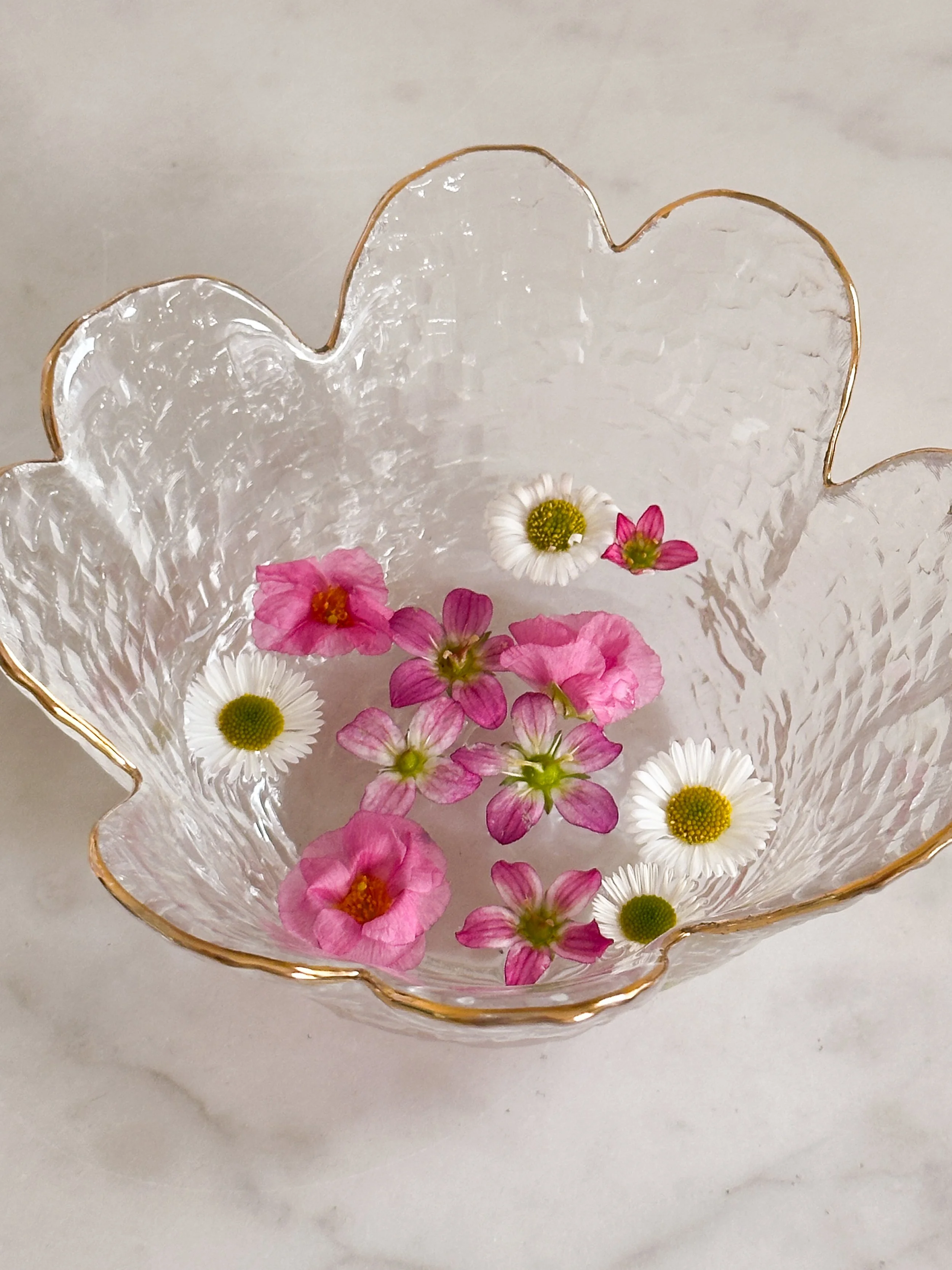 Katie Larmour Irish Linen Cactus3.JPG