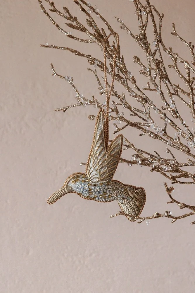 Katie Larmour December 2025 Low Res (120).jpg