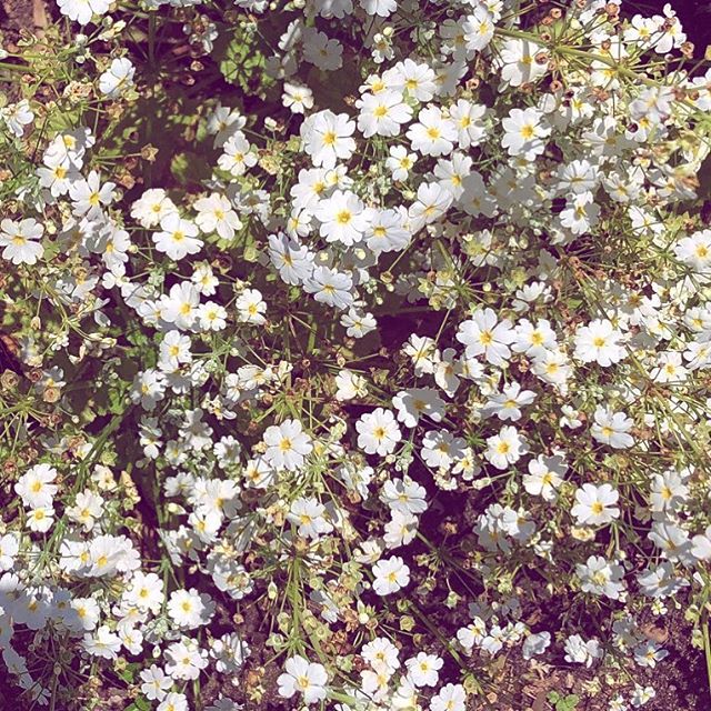 😍 Spring! 🌼