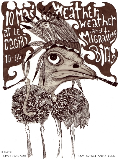 Migrating birds poster