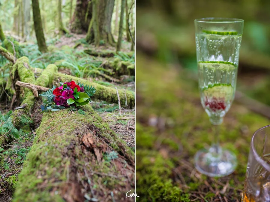 KIEX INSPO_CATHEDRAL GROVE_005.jpg
