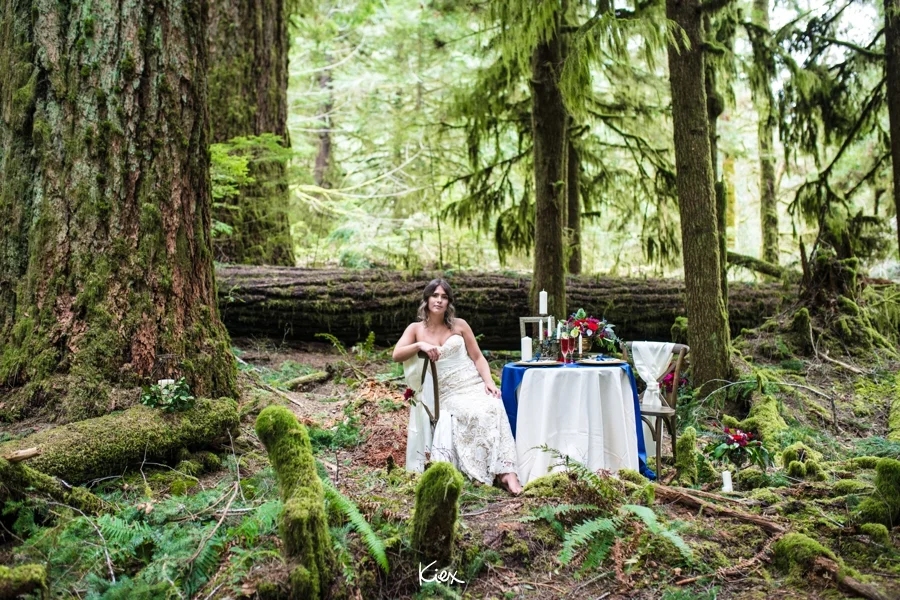 KIEX INSPO_CATHEDRAL GROVE_017.jpg