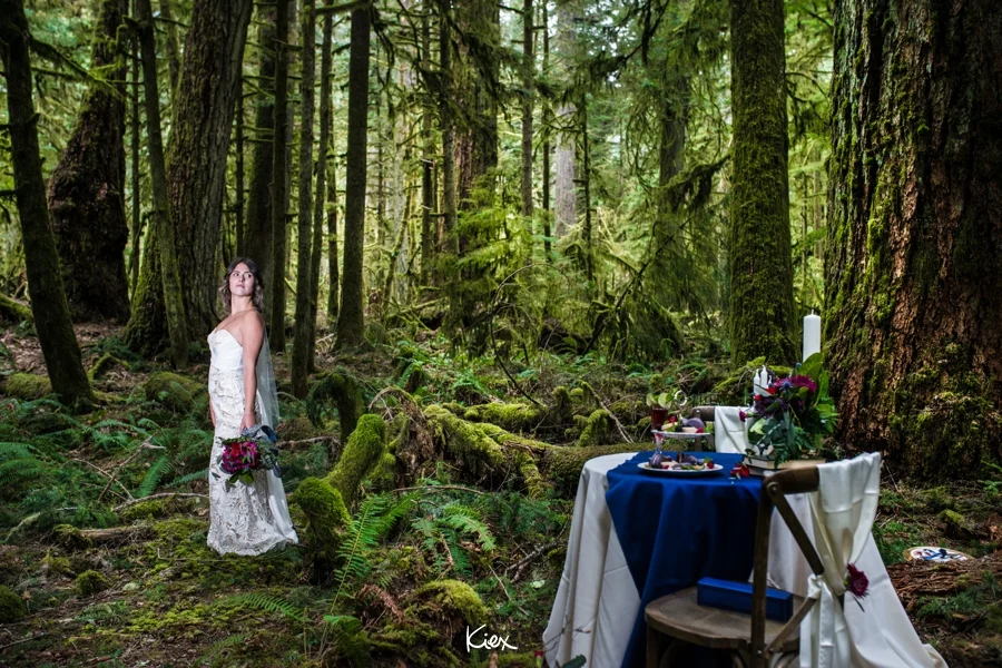 KIEX INSPO_CATHEDRAL GROVE_032.jpg