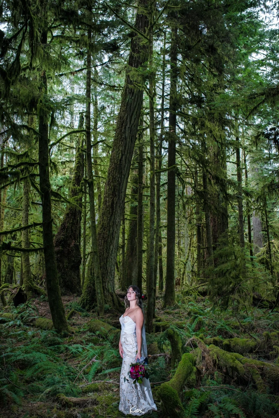 KIEX INSPO_CATHEDRAL GROVE_033.jpg