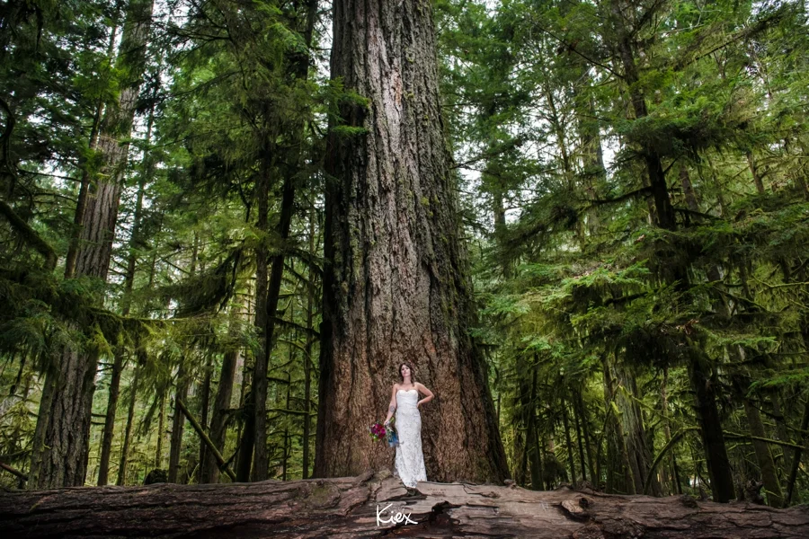 KIEX INSPO_CATHEDRAL GROVE_058.jpg