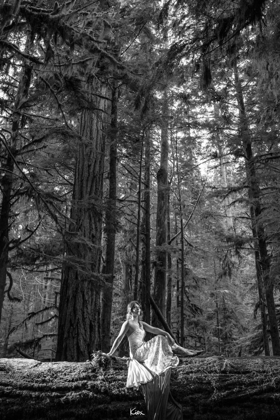 KIEX INSPO_CATHEDRAL GROVE_066.jpg