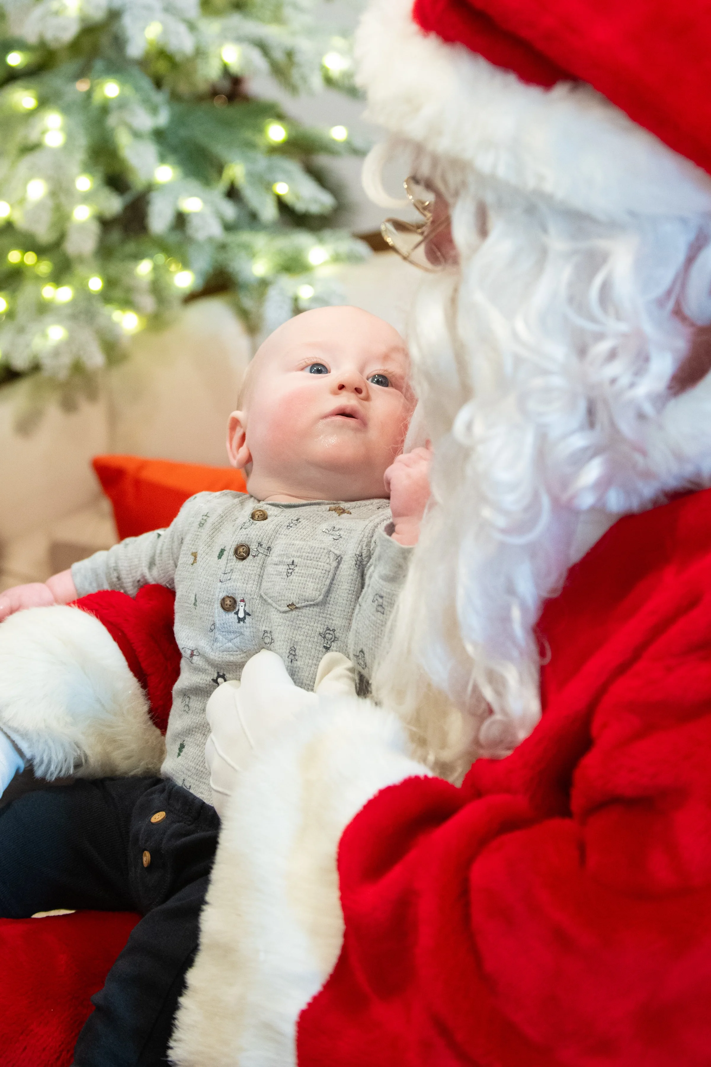 004 - TESS BRADY + FAMILY 019.jpg