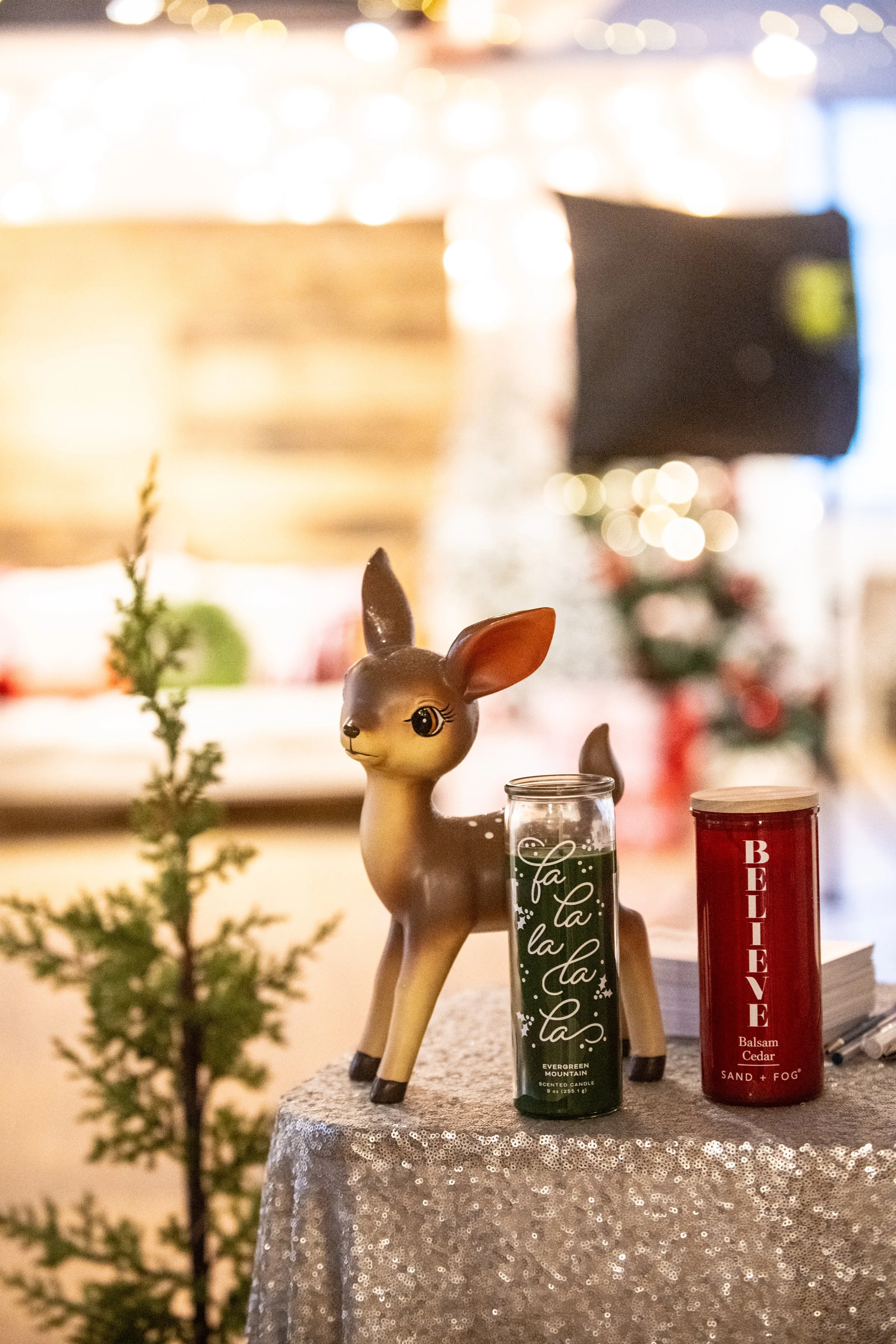 SANTA DECOR 2023 012.jpg