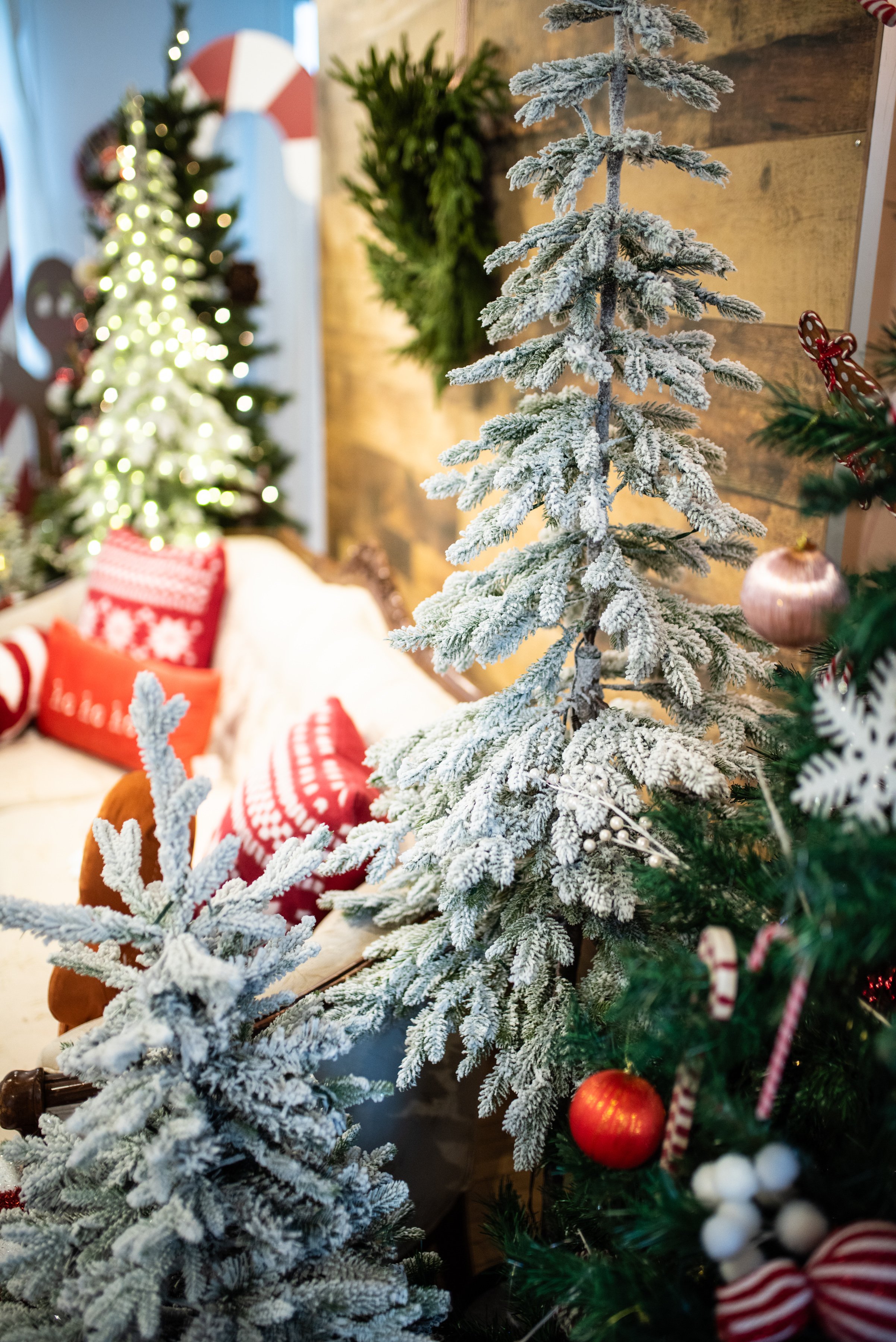 SANTA DECOR 2023 052.jpg