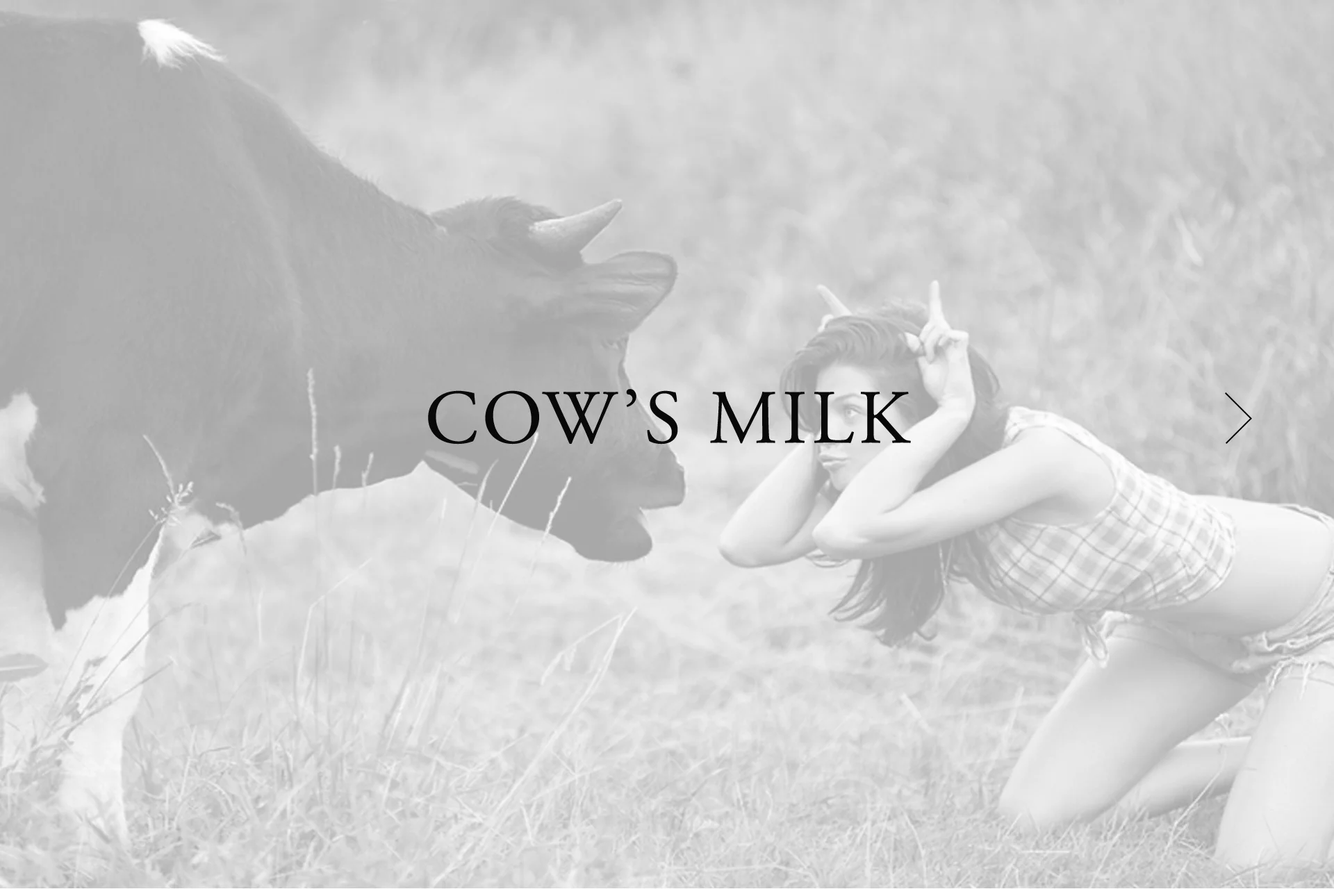 cows_milk_cheeses.jpg