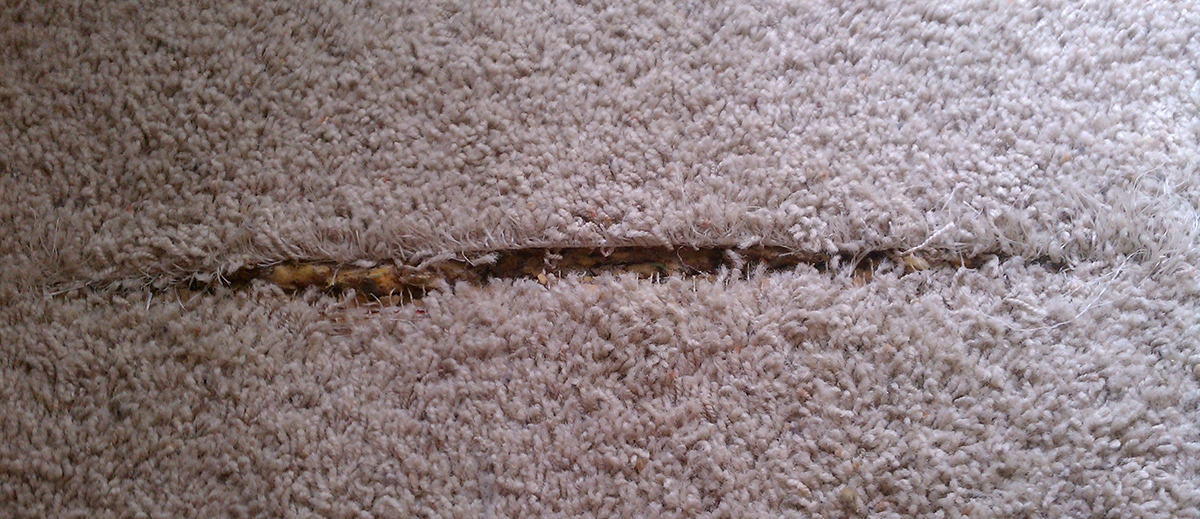   Carpet Seam Repair  