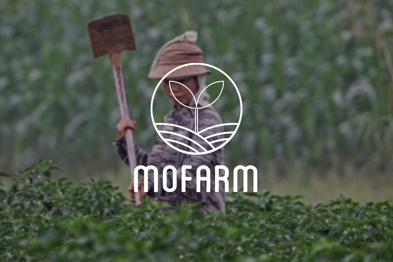 mofarm.png
