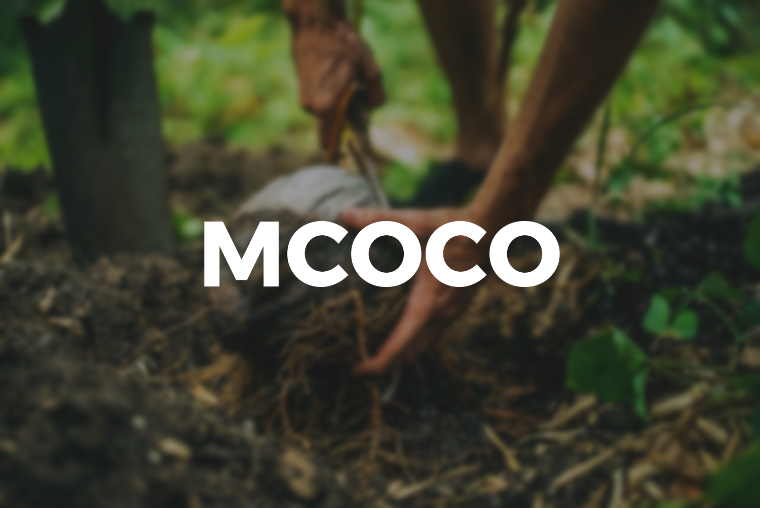 mcoco.png