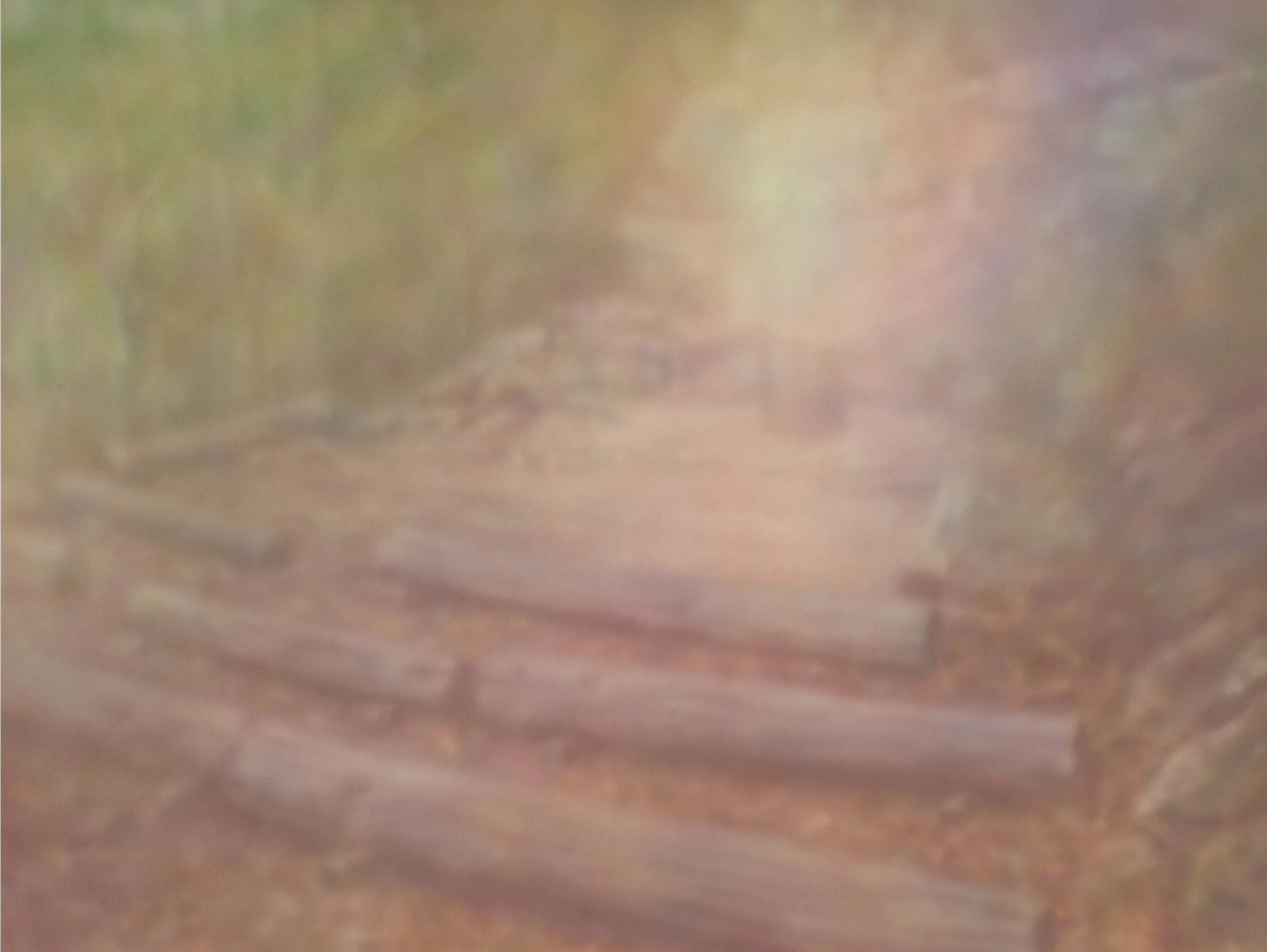 Retreat