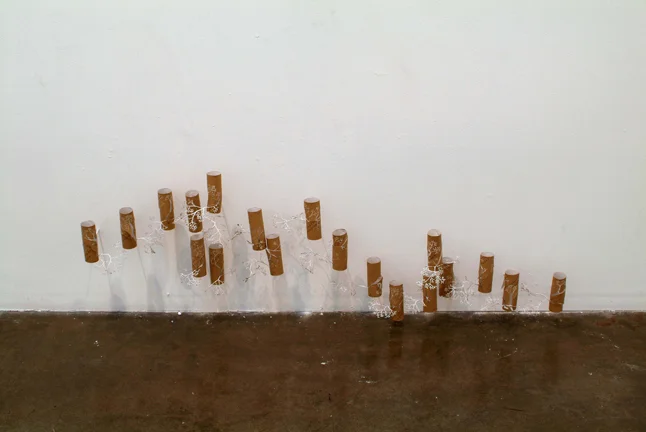 Solo Exhibition