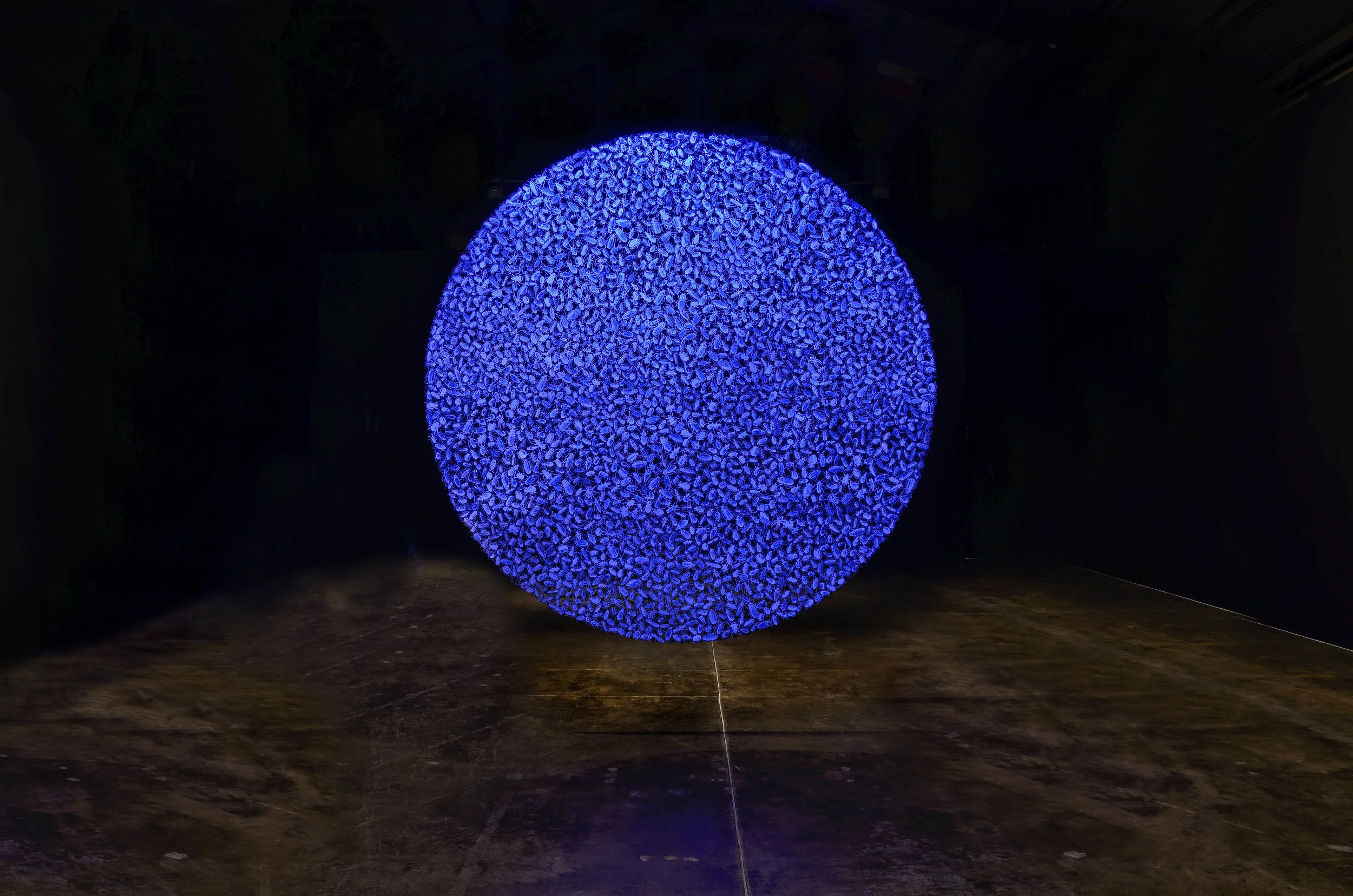 "The Other Side of Midnight", 2012