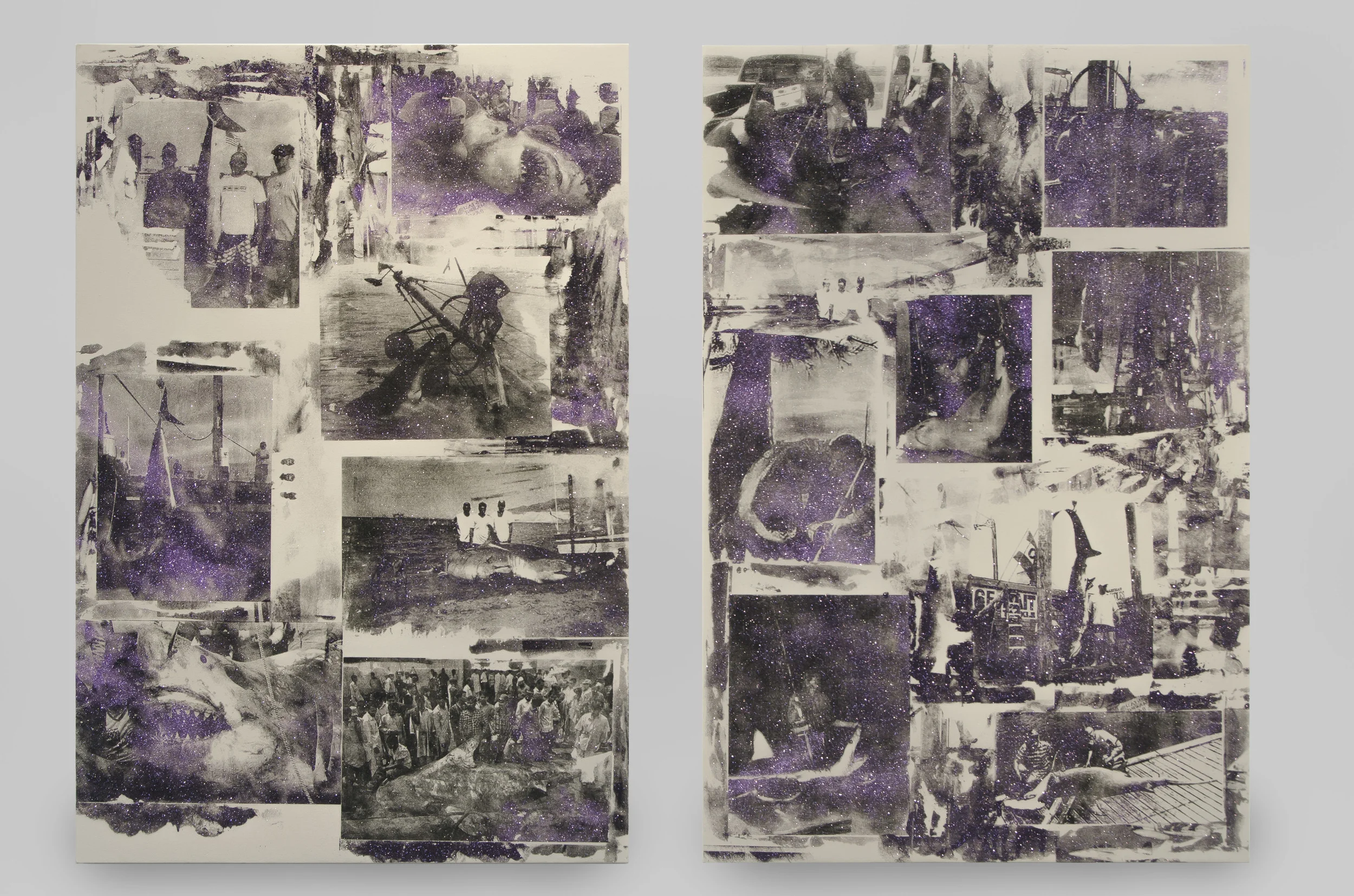 Lavender Reign, 2015
