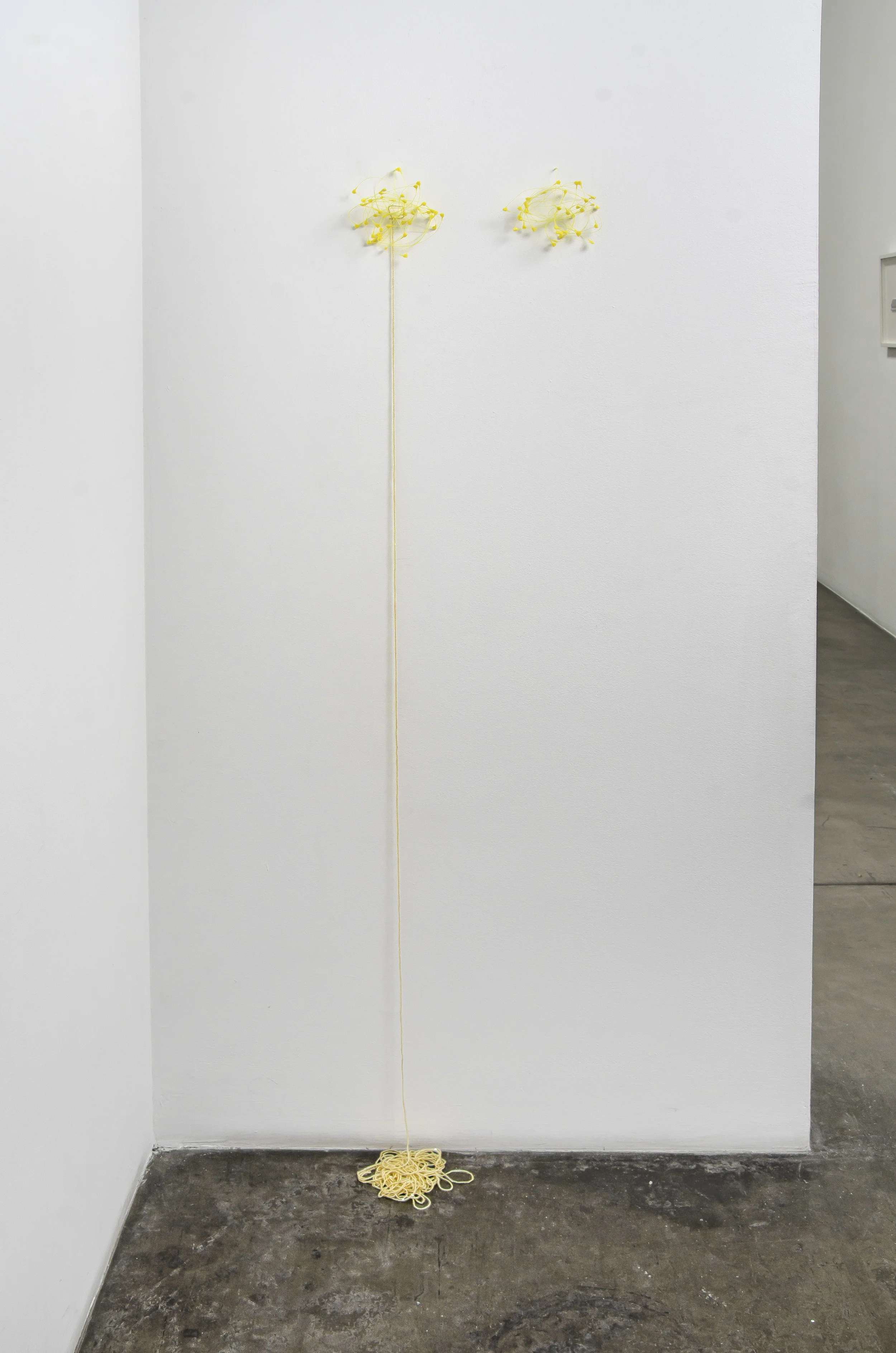 Yellow Tears, 2016