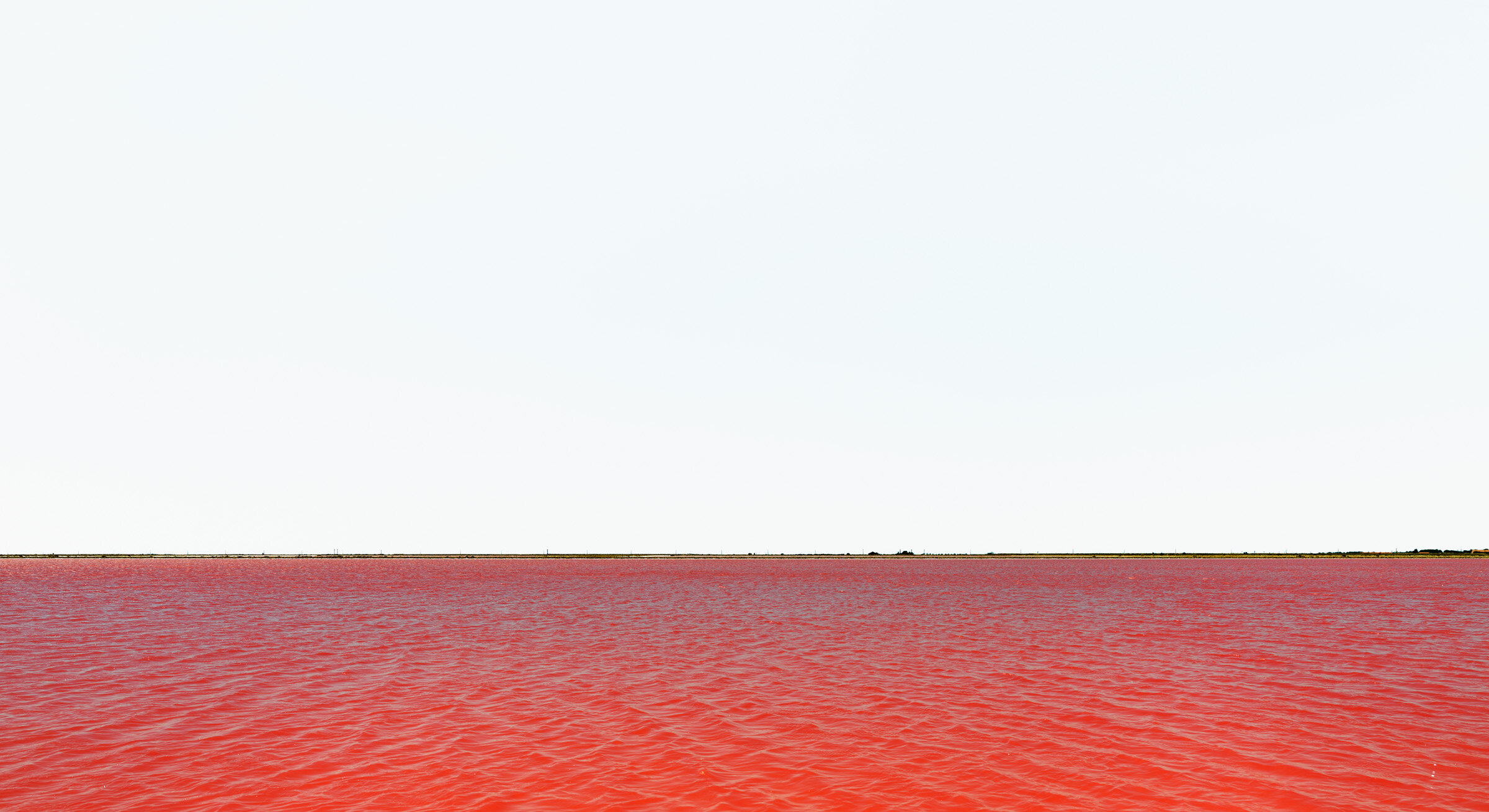 HORIZONS