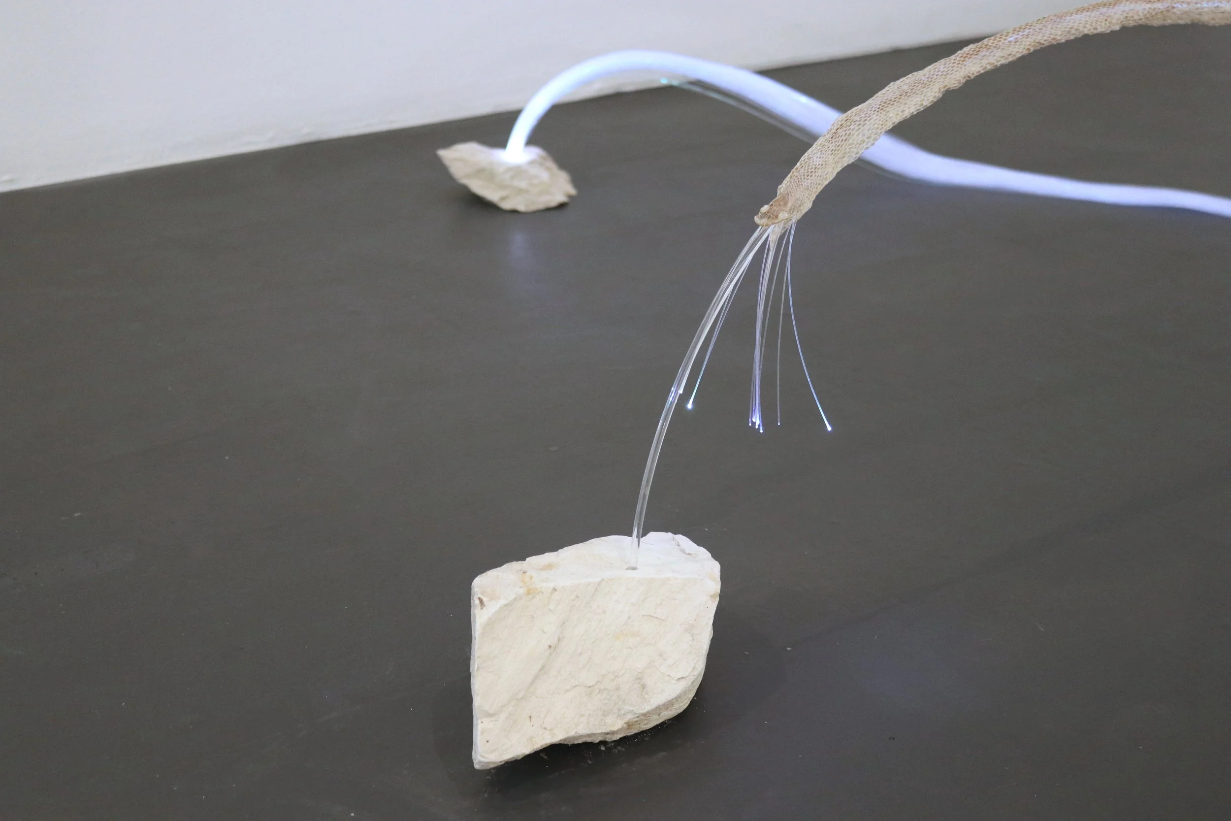 Detail image of Lompoc Stories Series: Spacesuit, 2021 