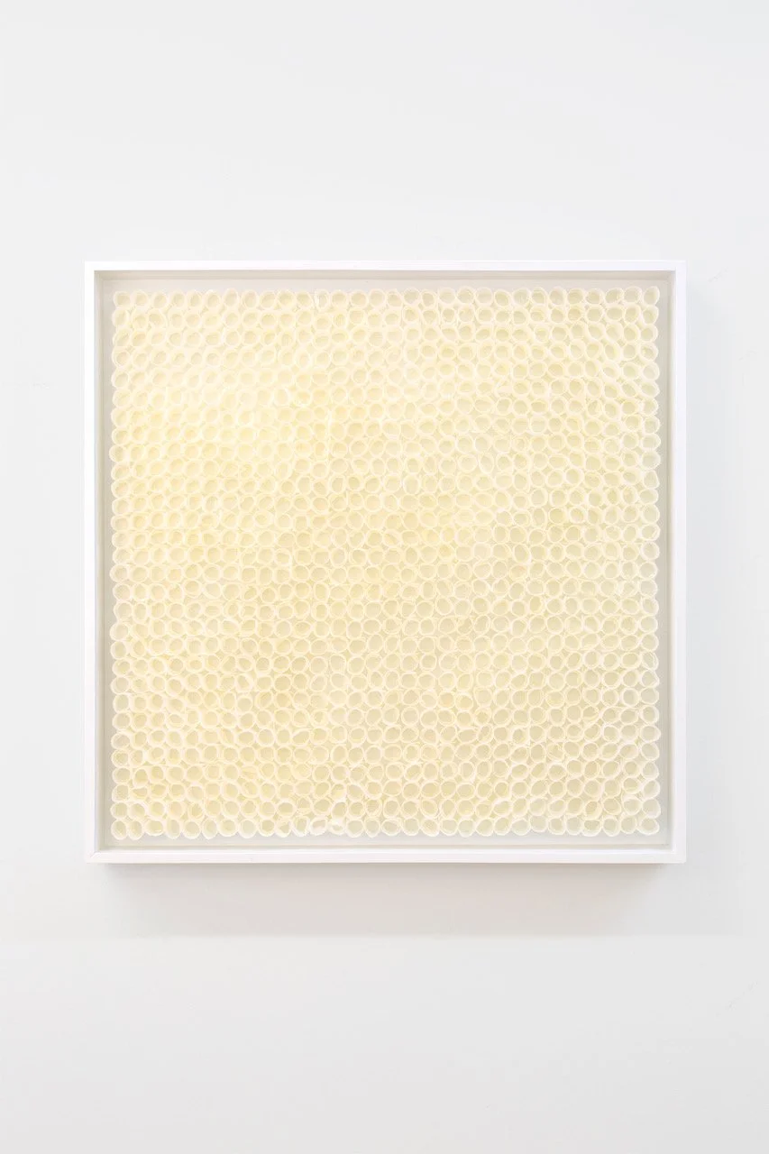 Untitled (Soft tall rings), 2018