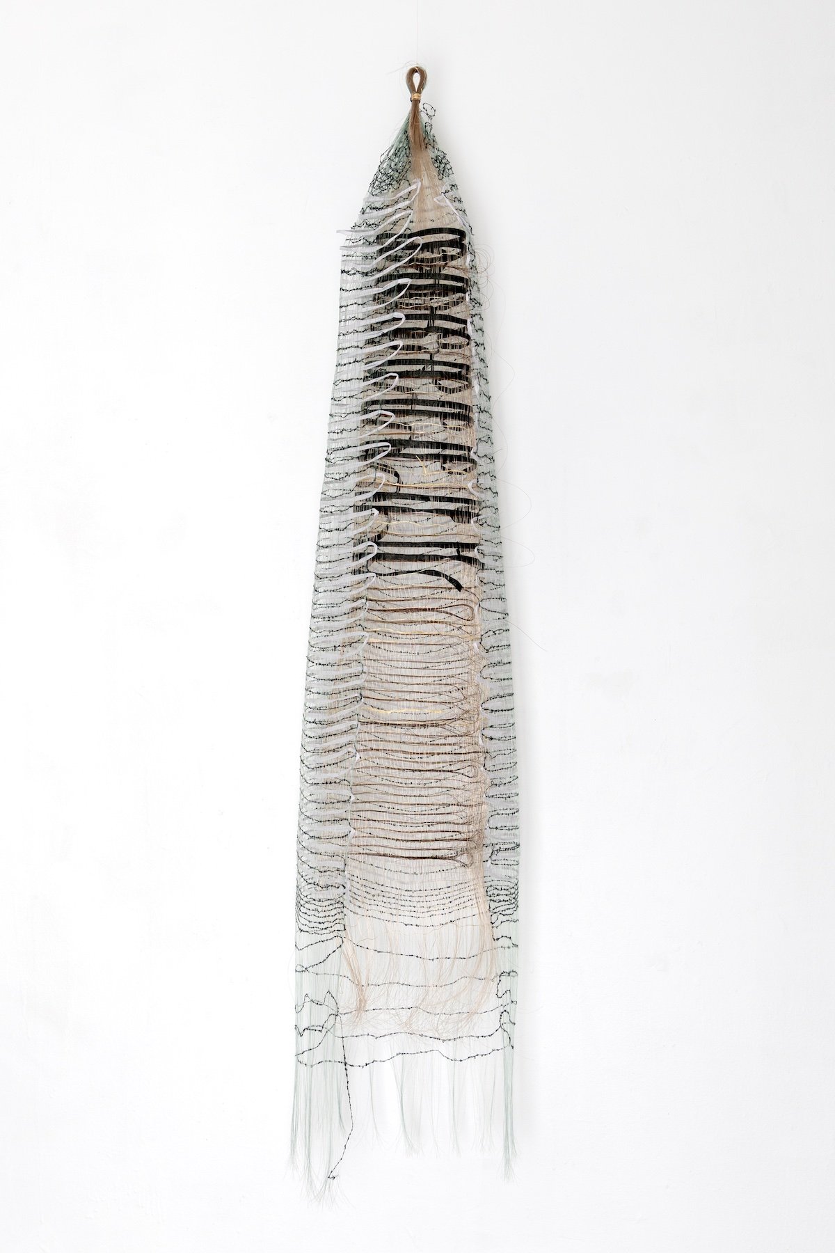 Glass Sponge, 2025