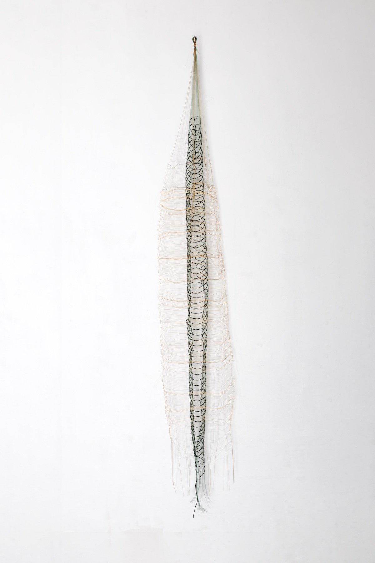 Godwit, 2025