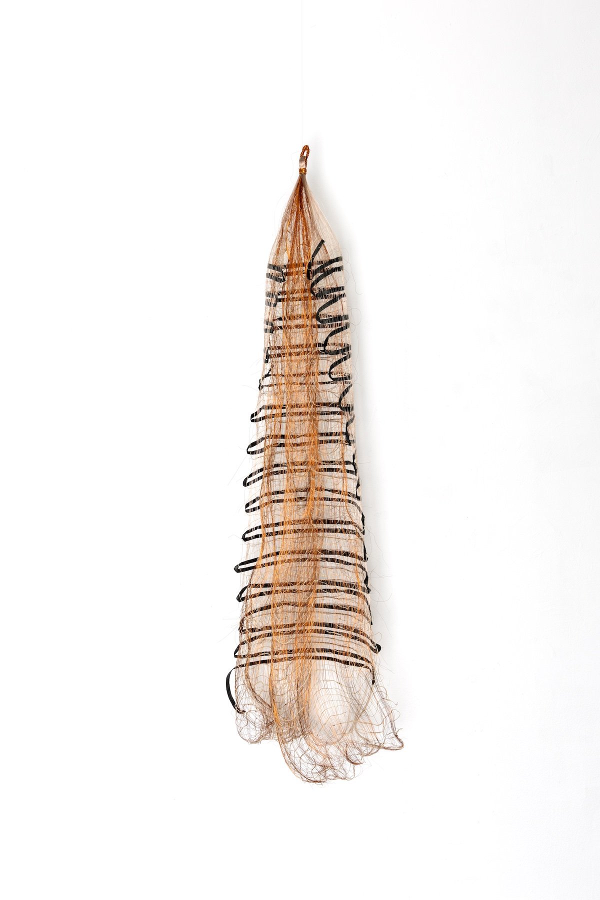 Underwing, 2025