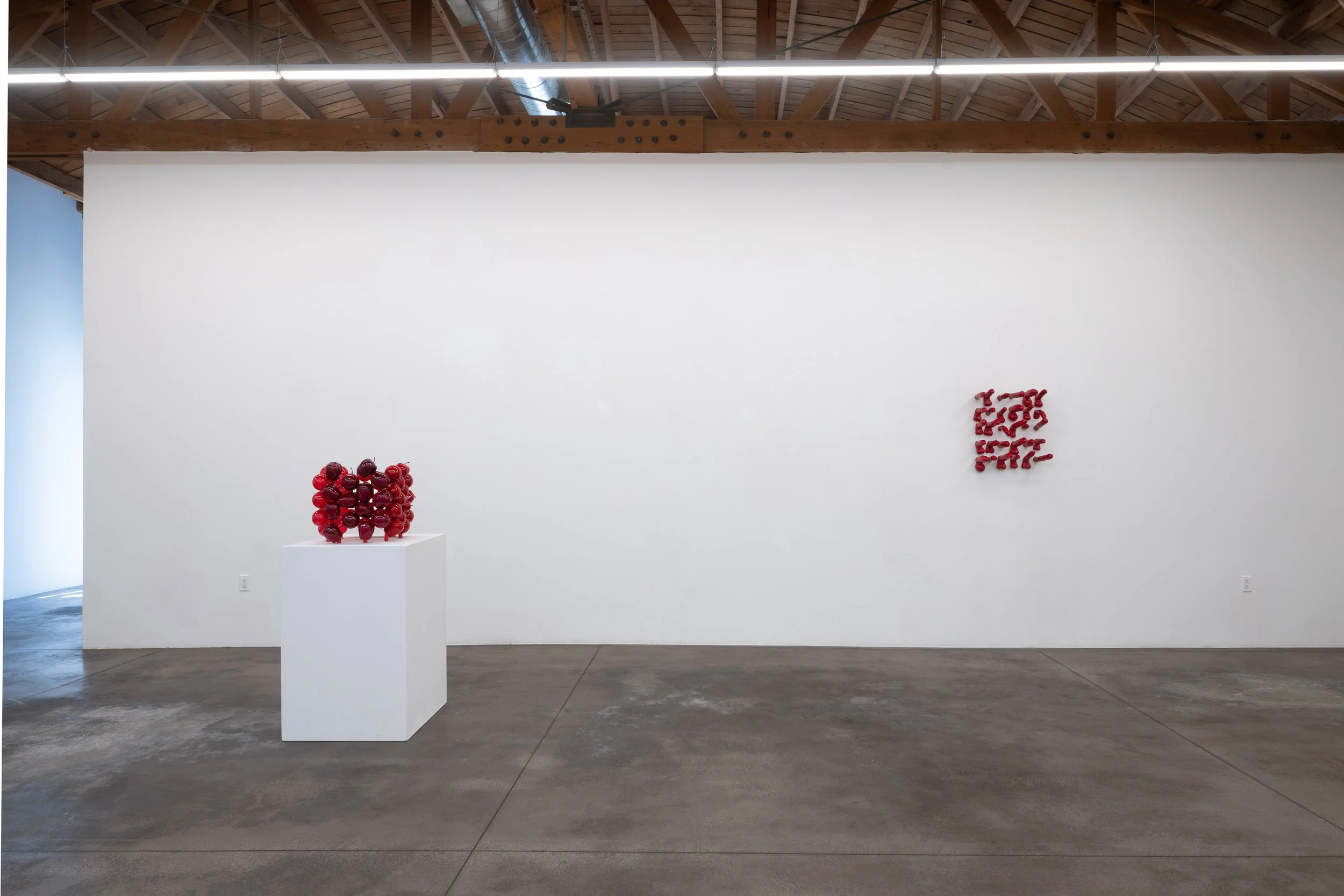 Cockeyed Installation View 1