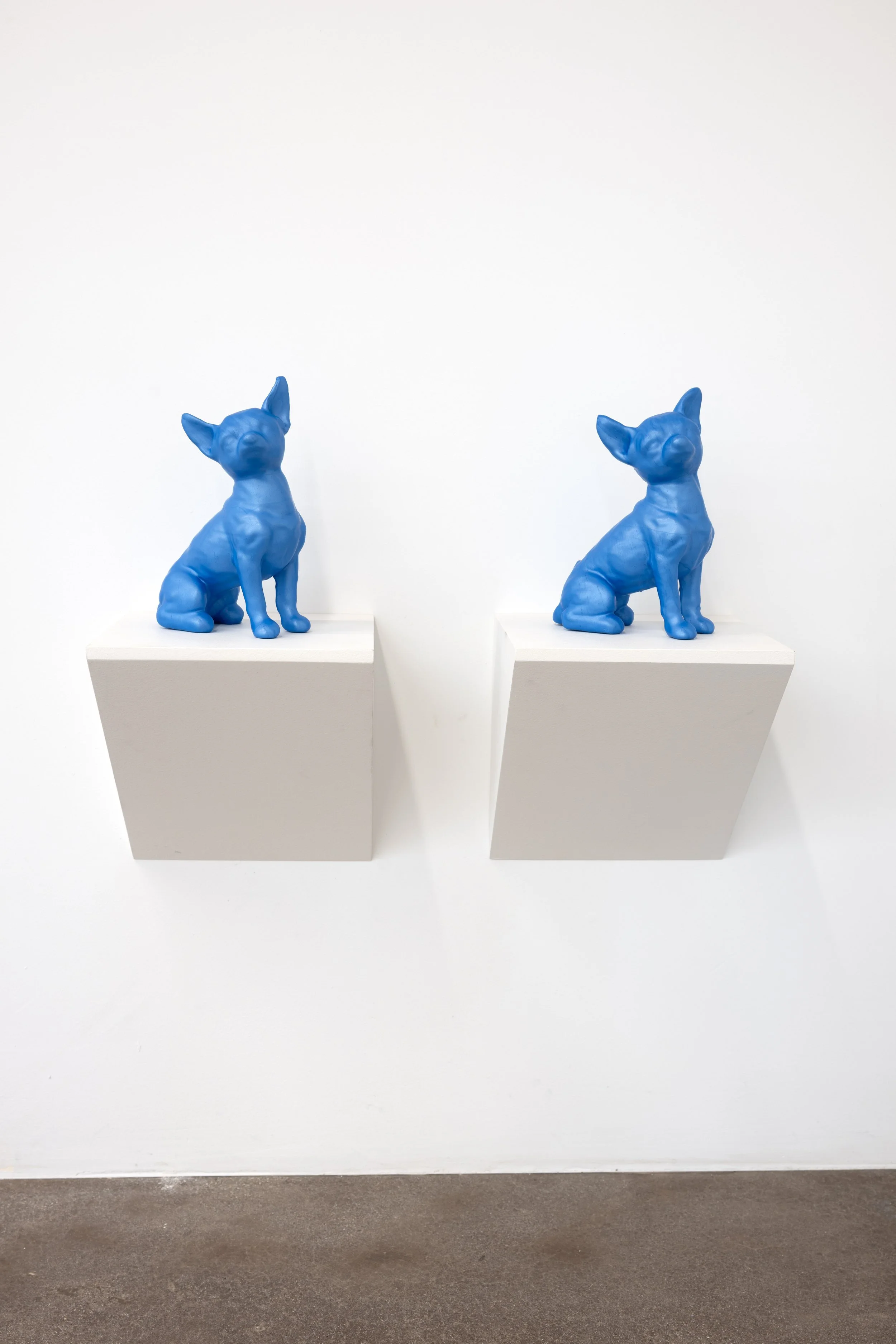 Blue Dog, 2004-09