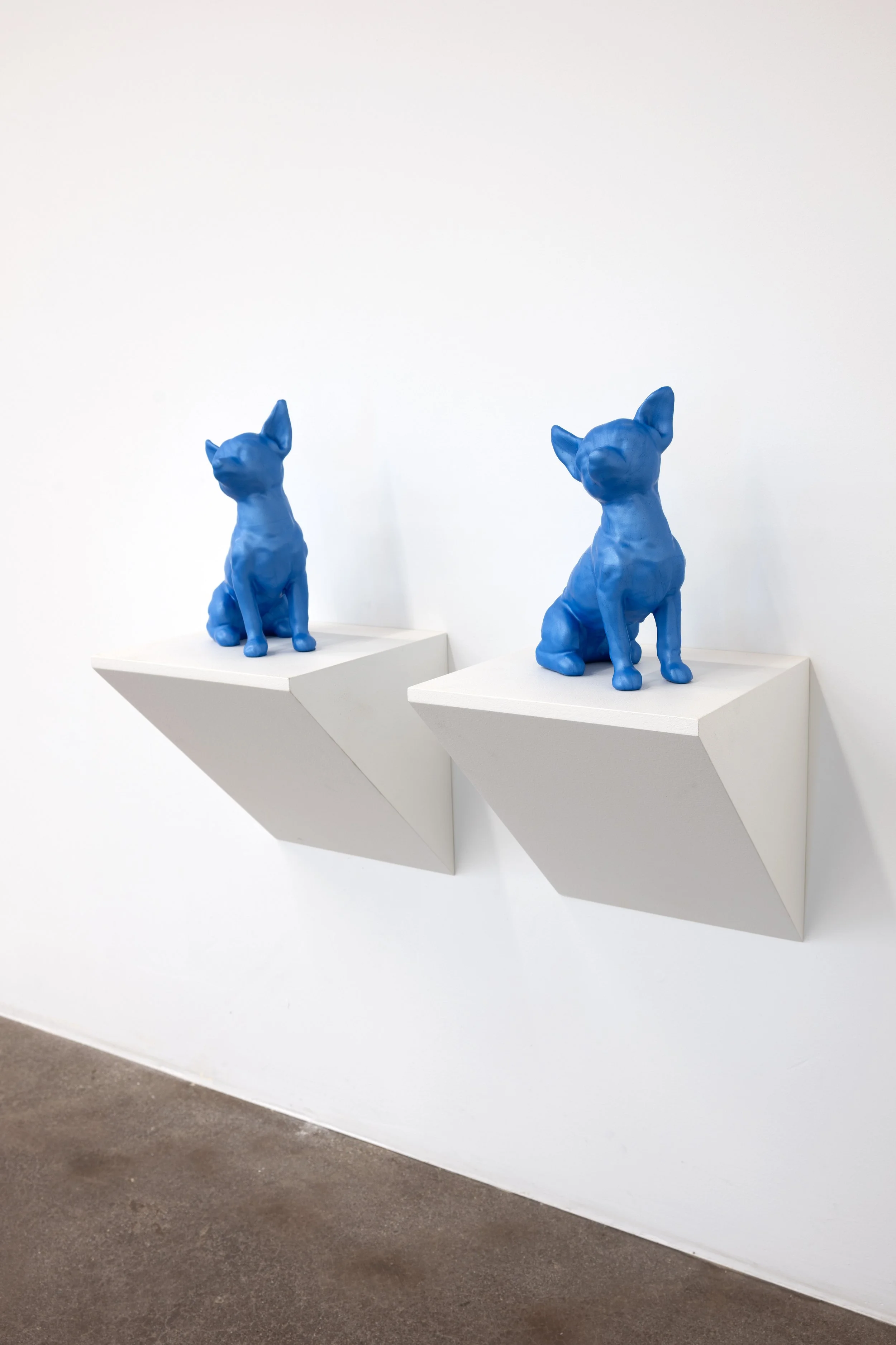 Blue Dog, 2004-09