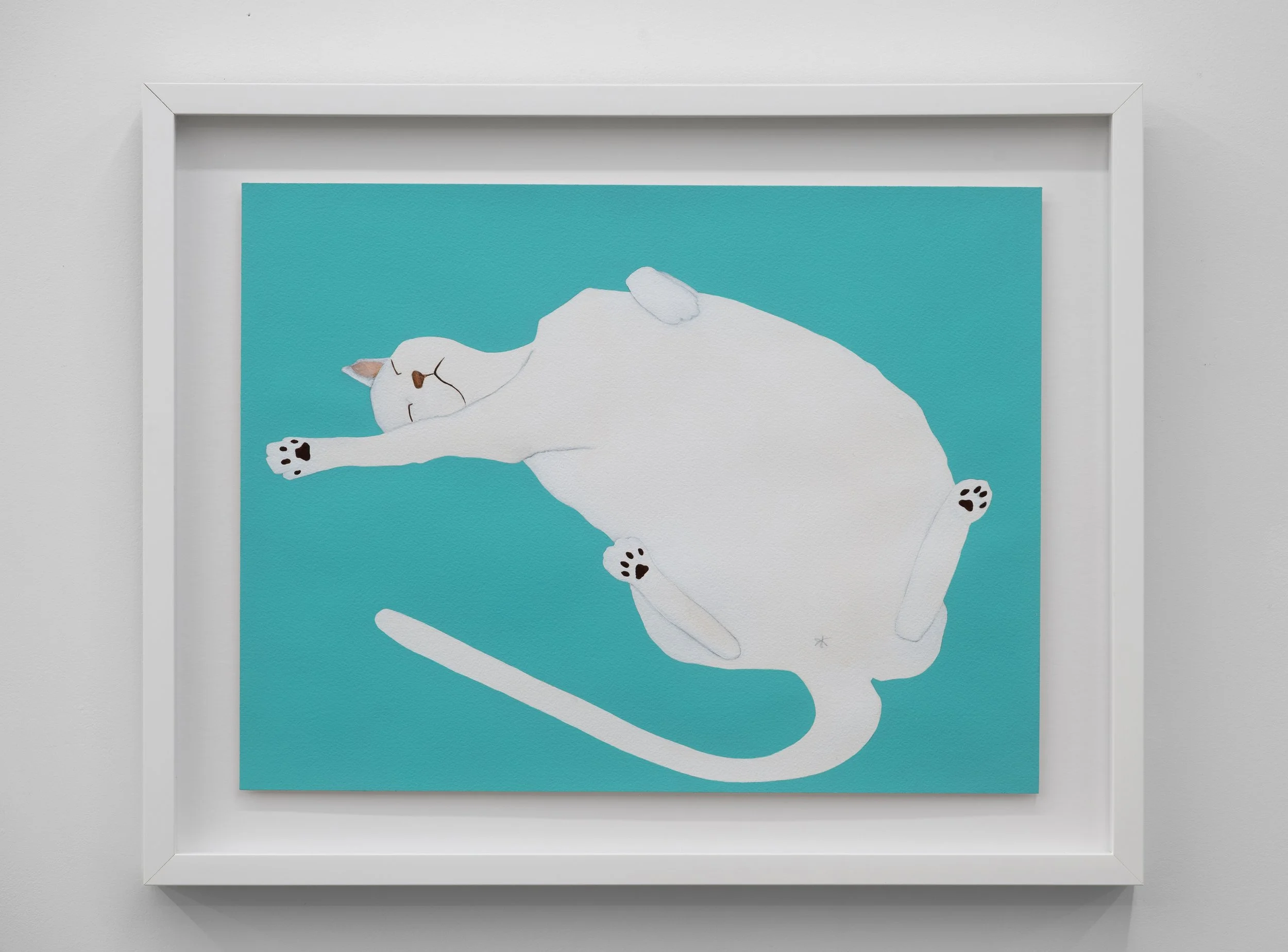 White cat hero stretching out, 2025