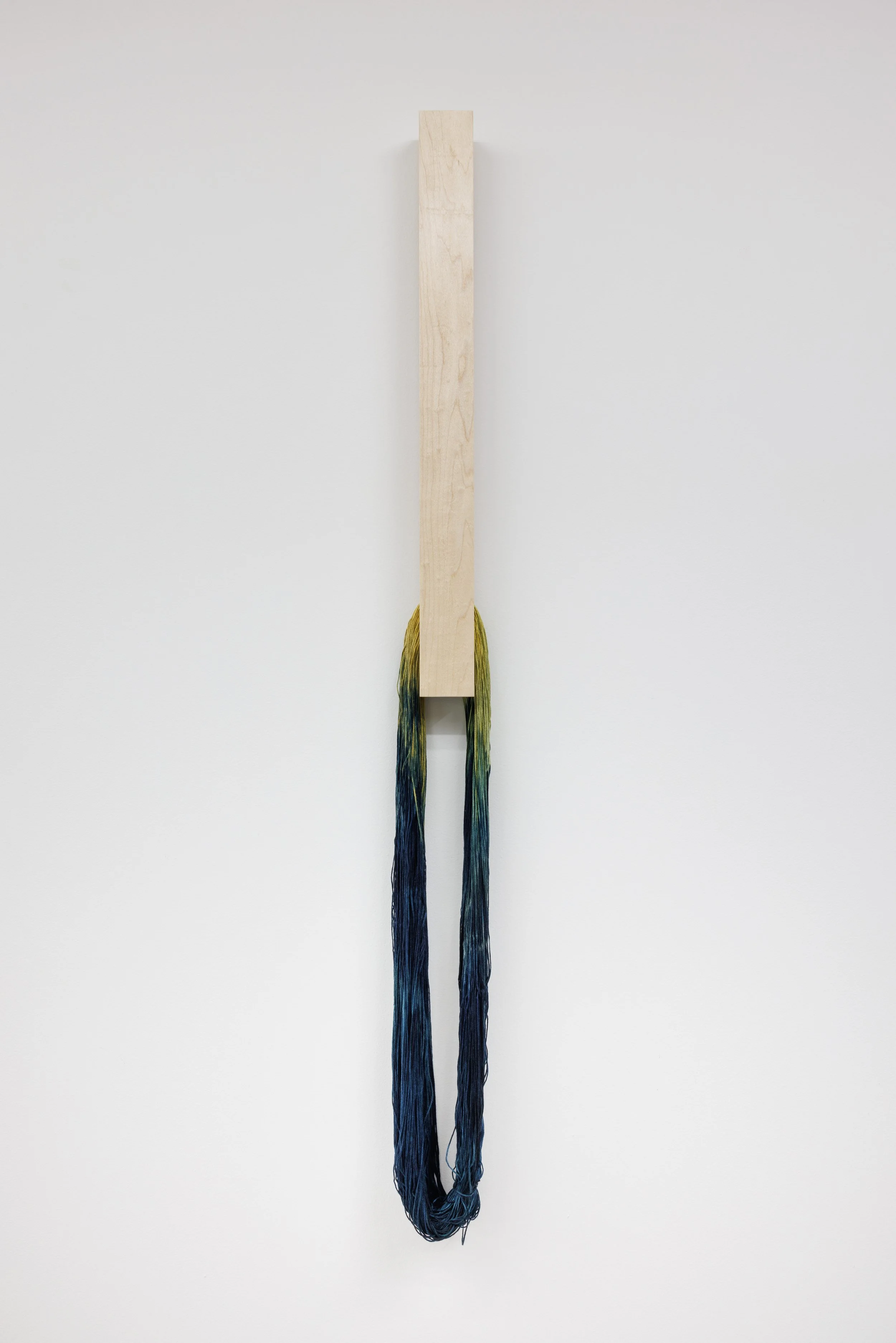 Silent Potential XIV, 2026