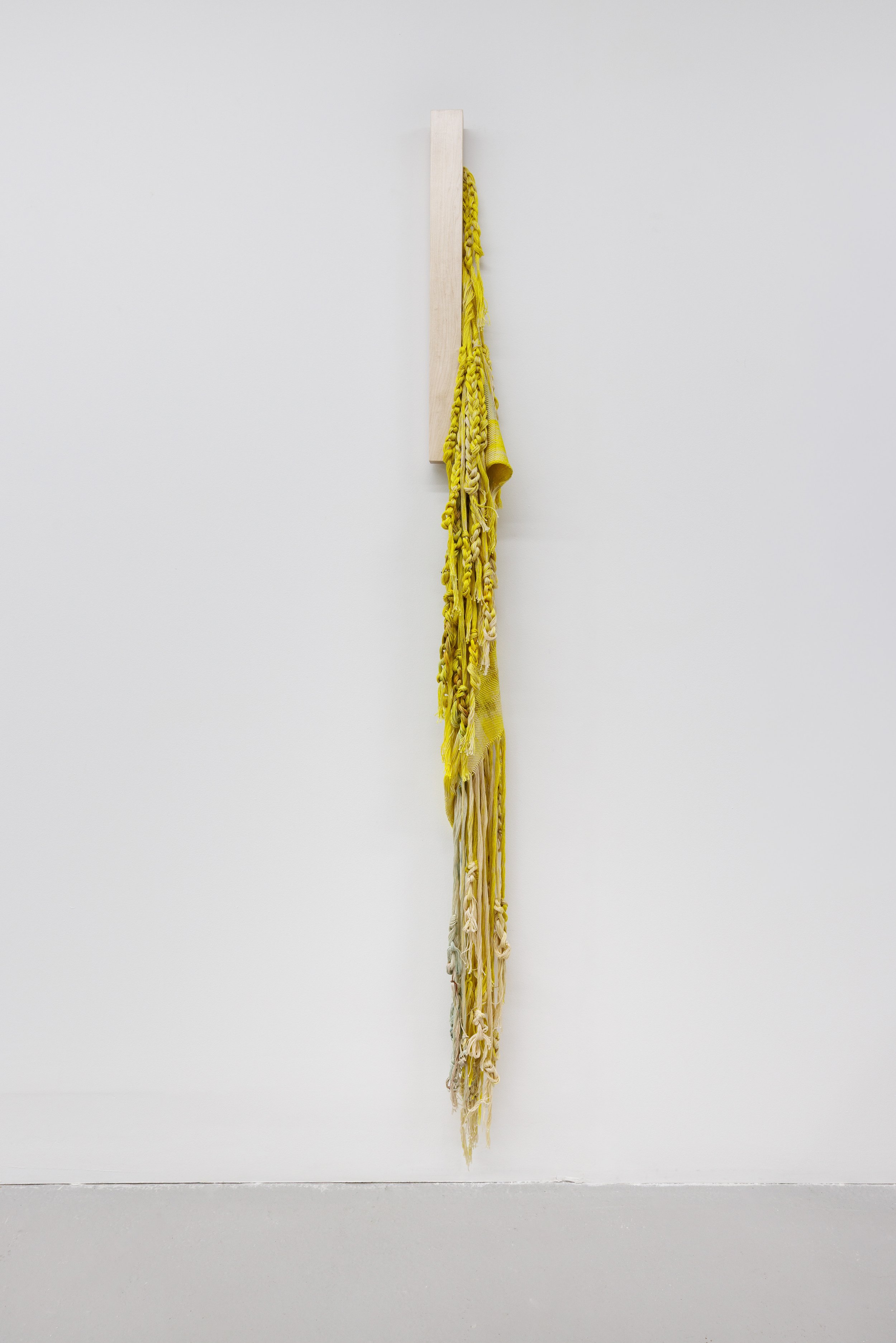 Silent Potential XIII, 2026