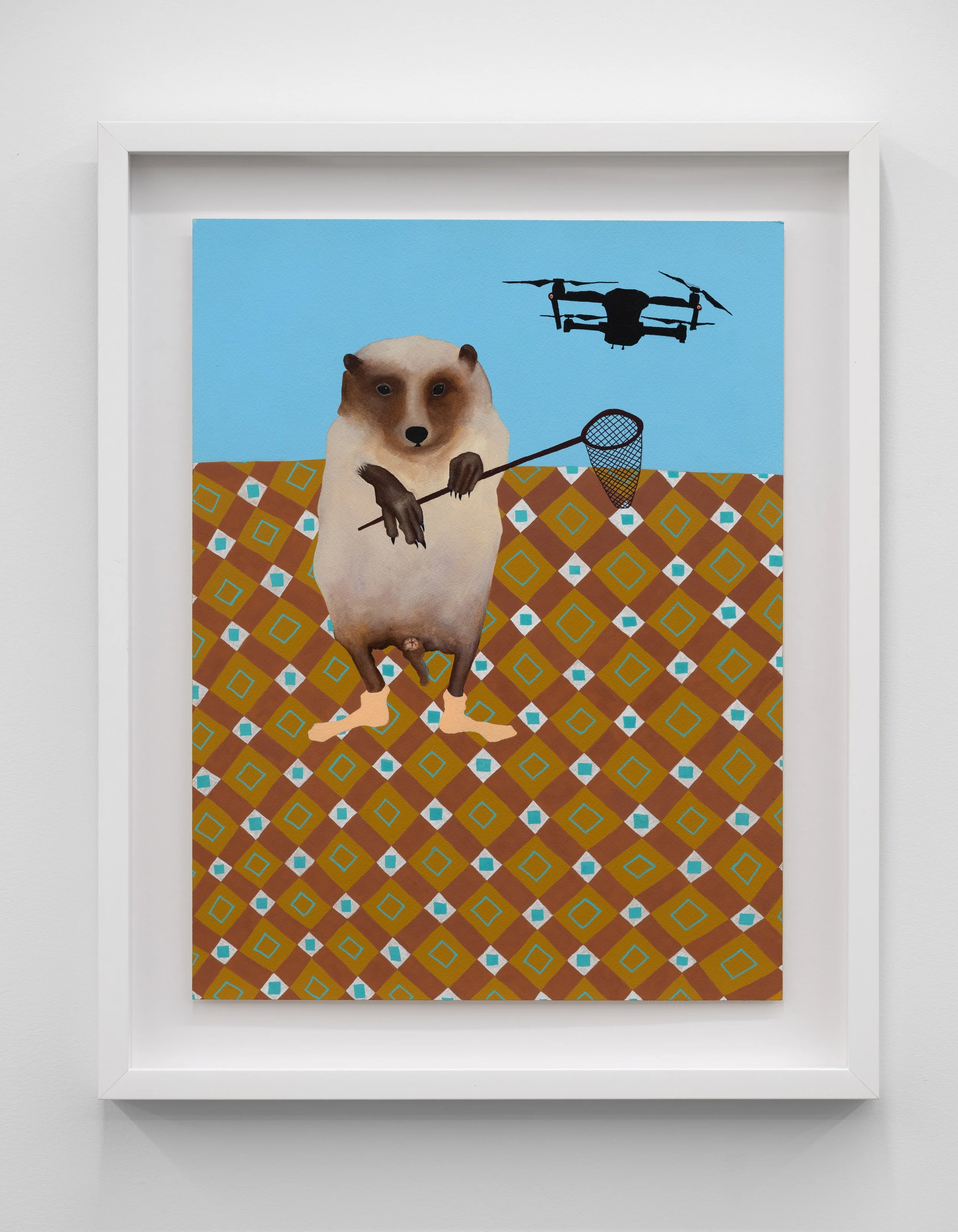 Hedgehog in socks with net, drone, 2025
