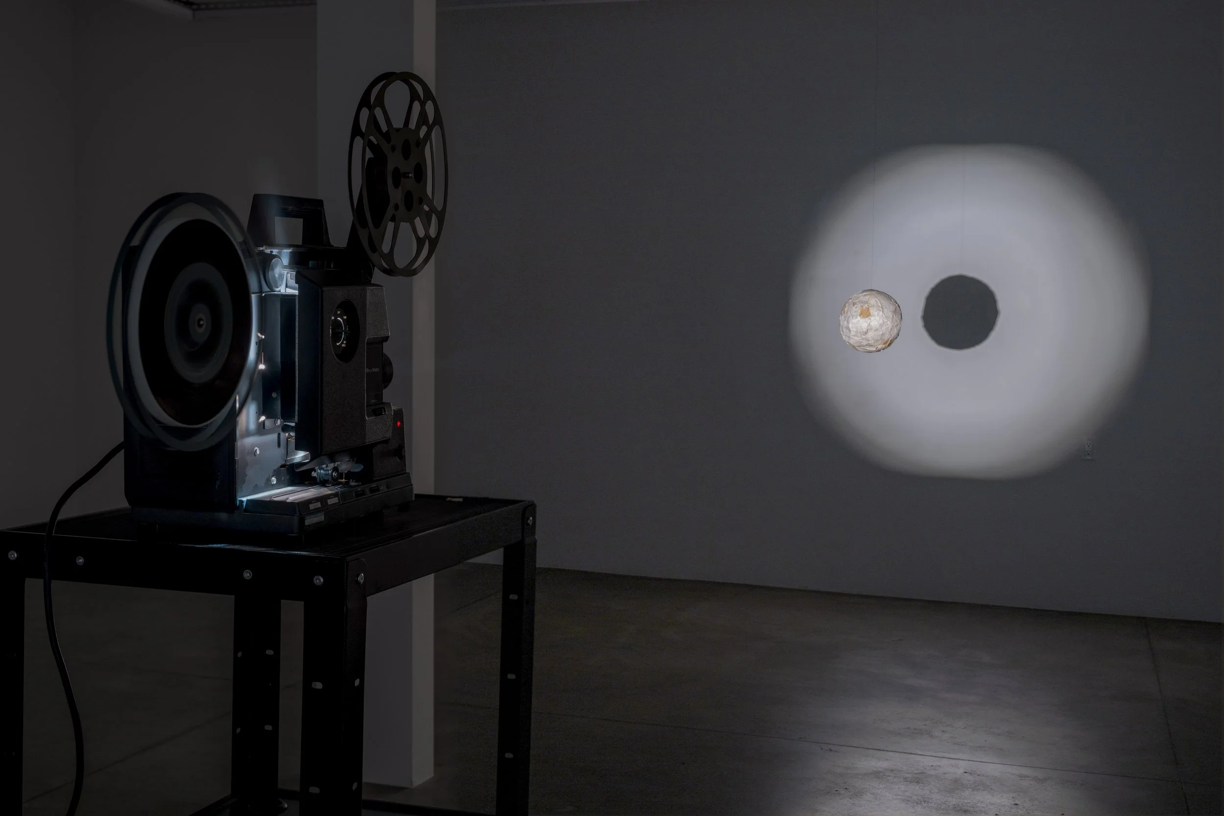 Installation Shot
