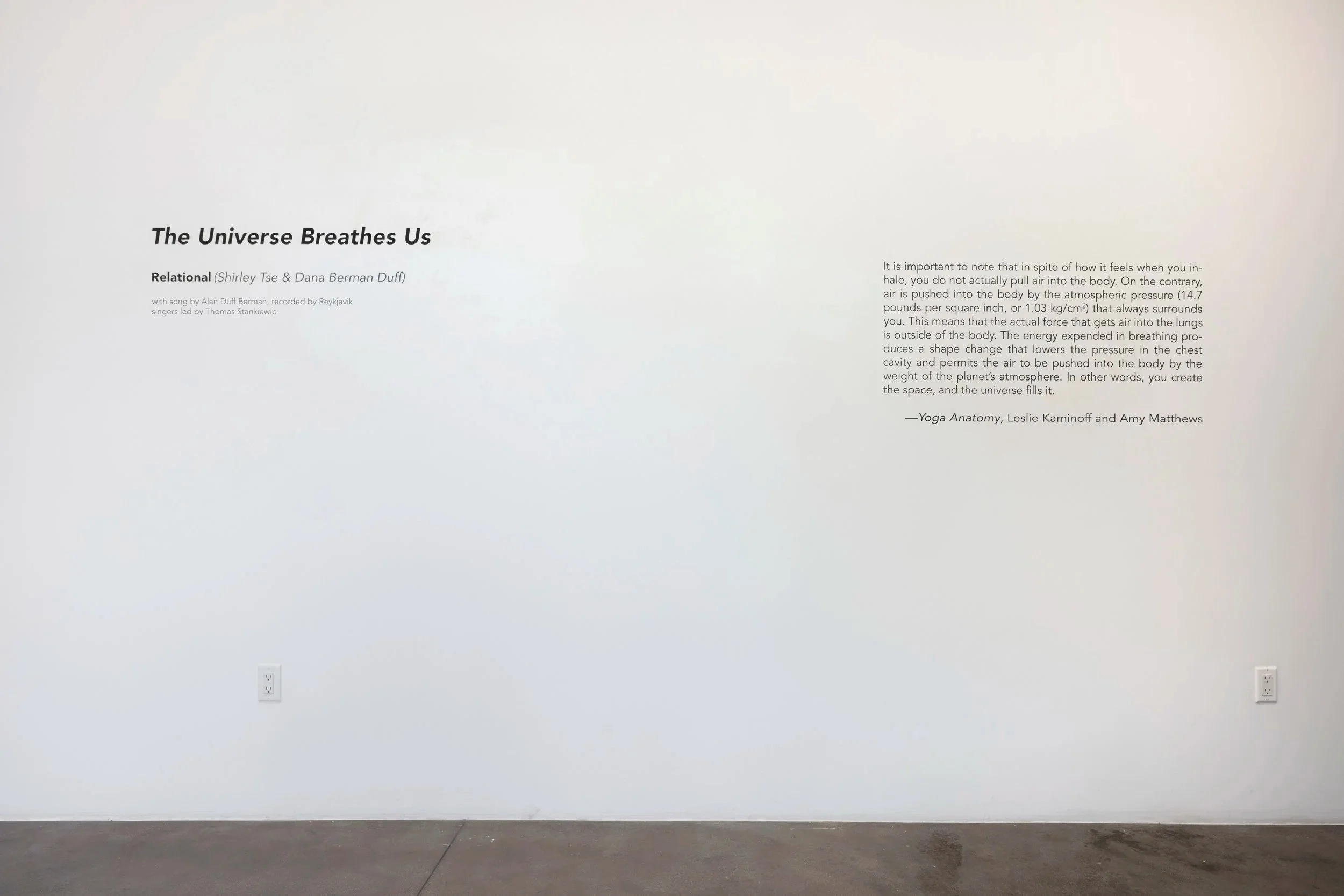 Installation Shot