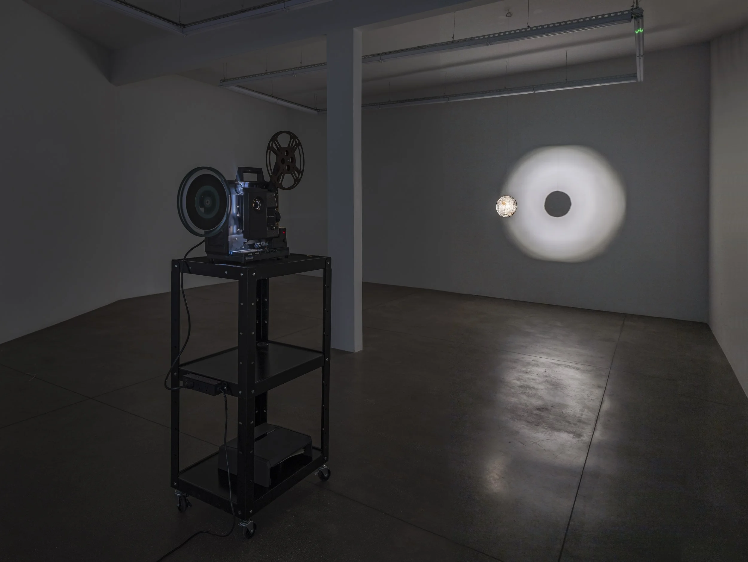 Installation Shot