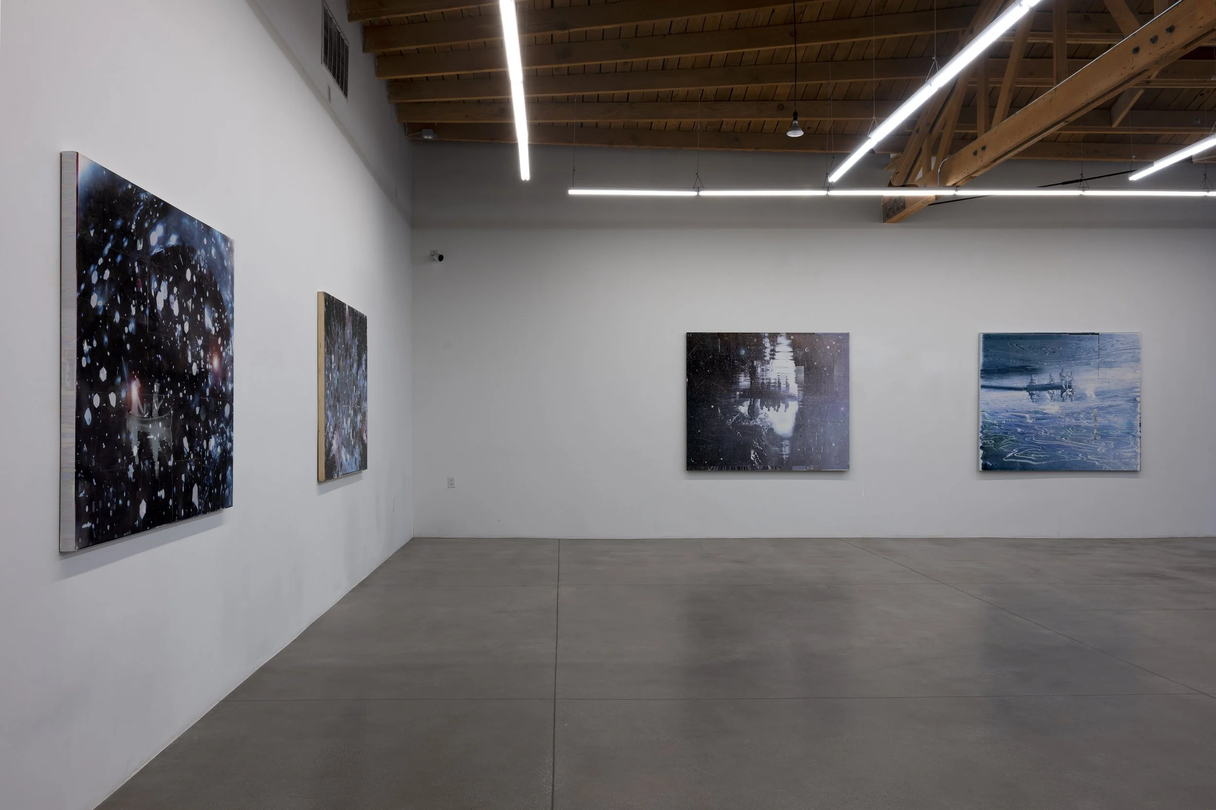  Installation view of  Nature Once Removed  