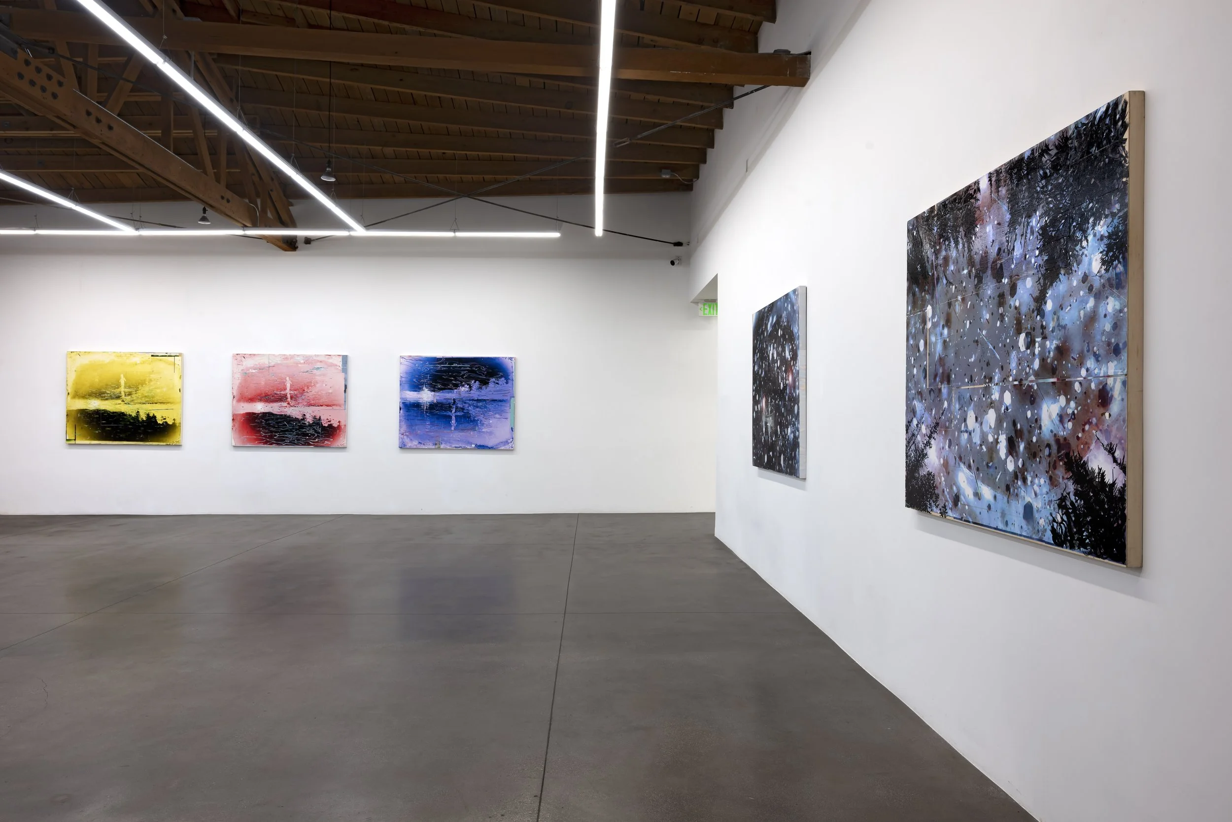  Installation view of  Nature Once Removed  