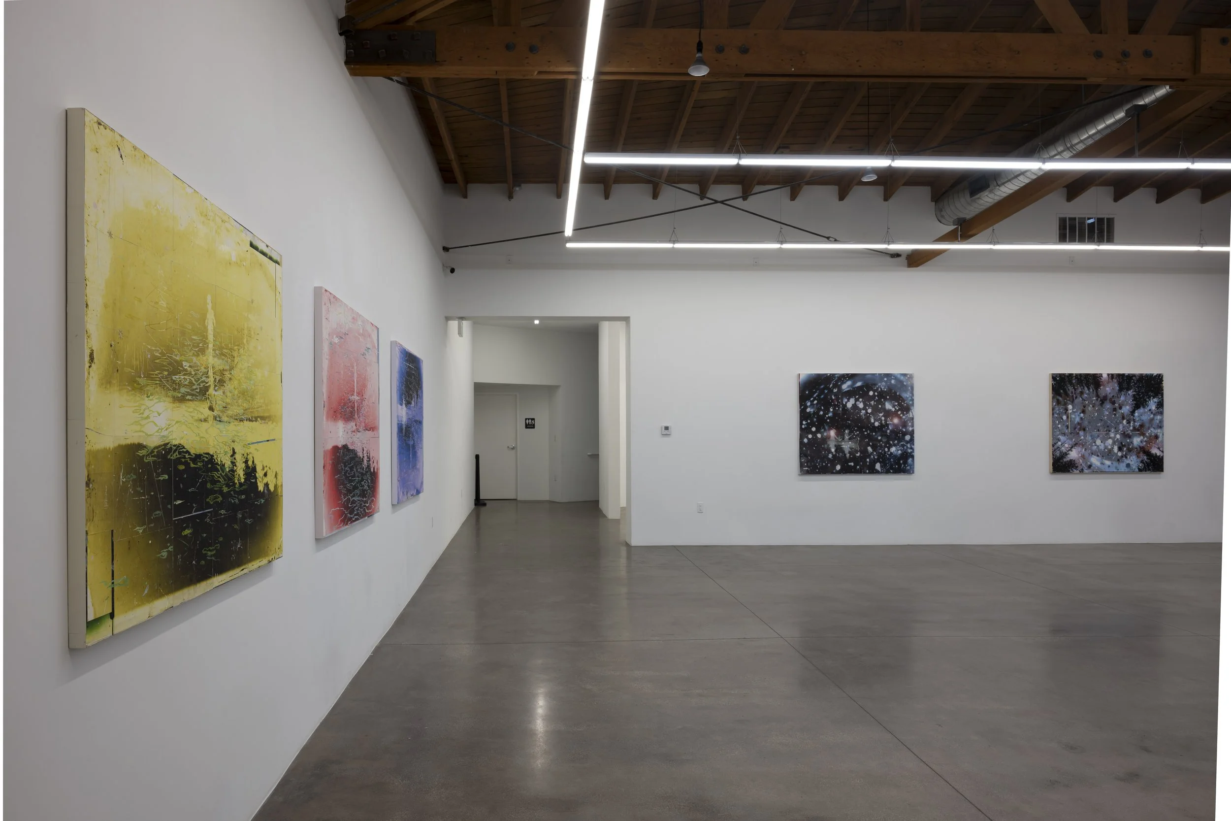  Installation view of  Nature Once Removed  