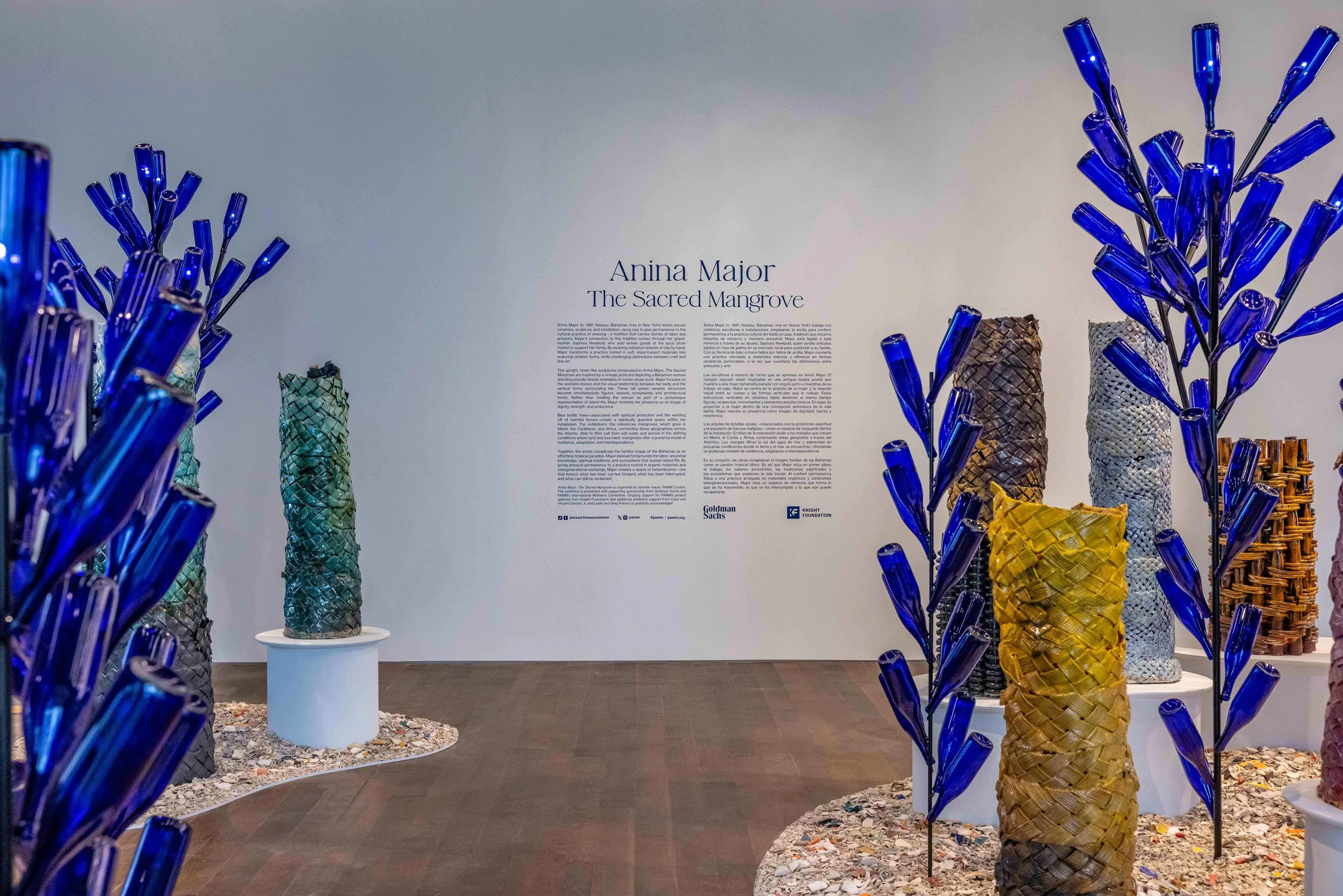 The Sacred Mangrove Installation View
