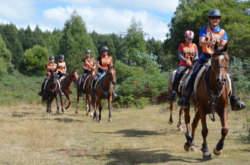 180317 Kentish — Tasmanian Equine Endurance Riders Inc.