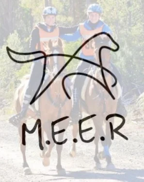 MEER_Logo.pic.jpg