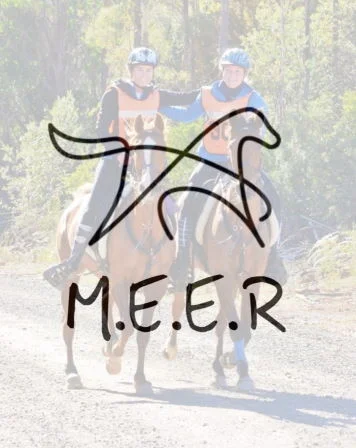 MEER_Logo.pic.jpg