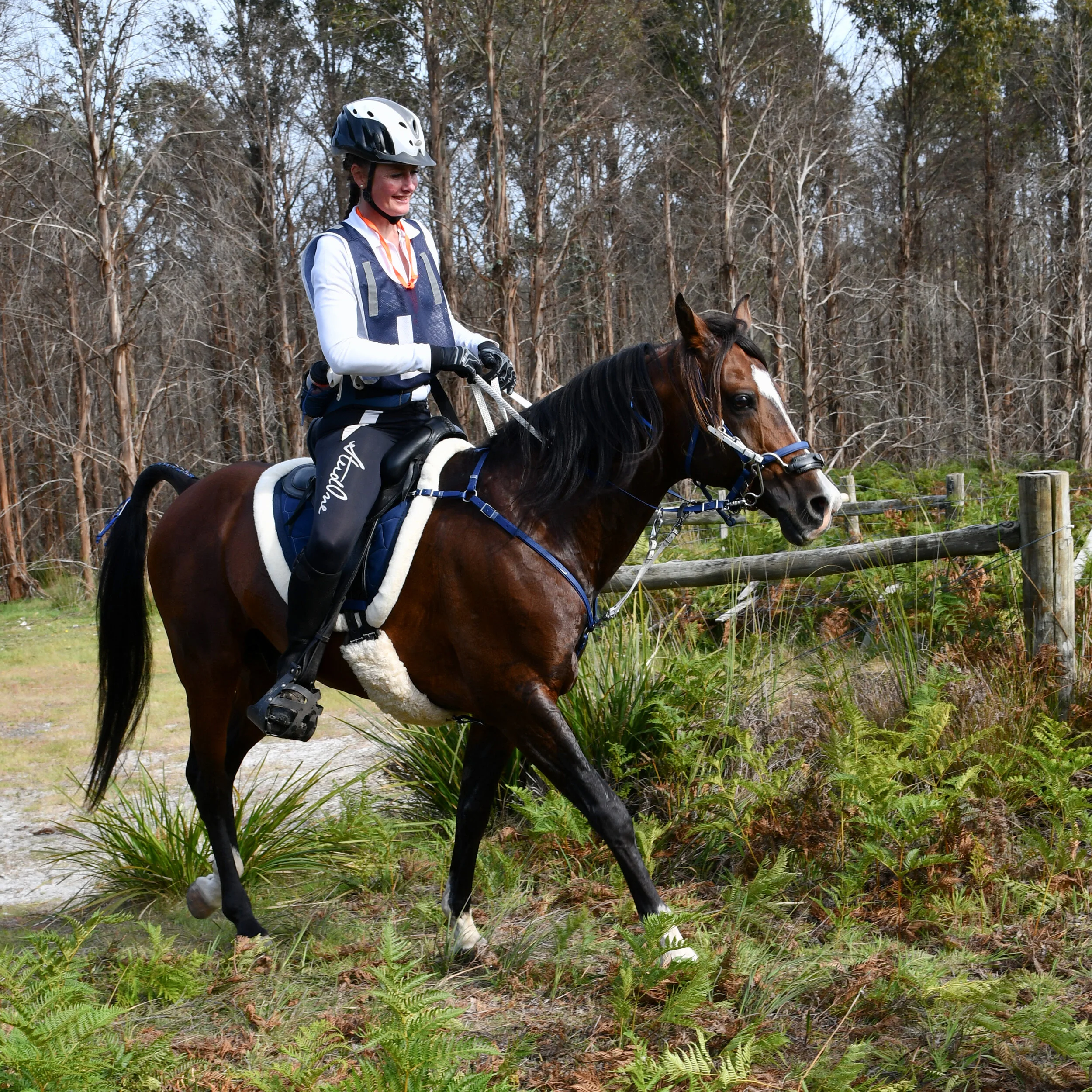160km 1st Lightweight &amp; BC - Angie Clark and Littlebanks Troubadour - 12 hours 21 minutes